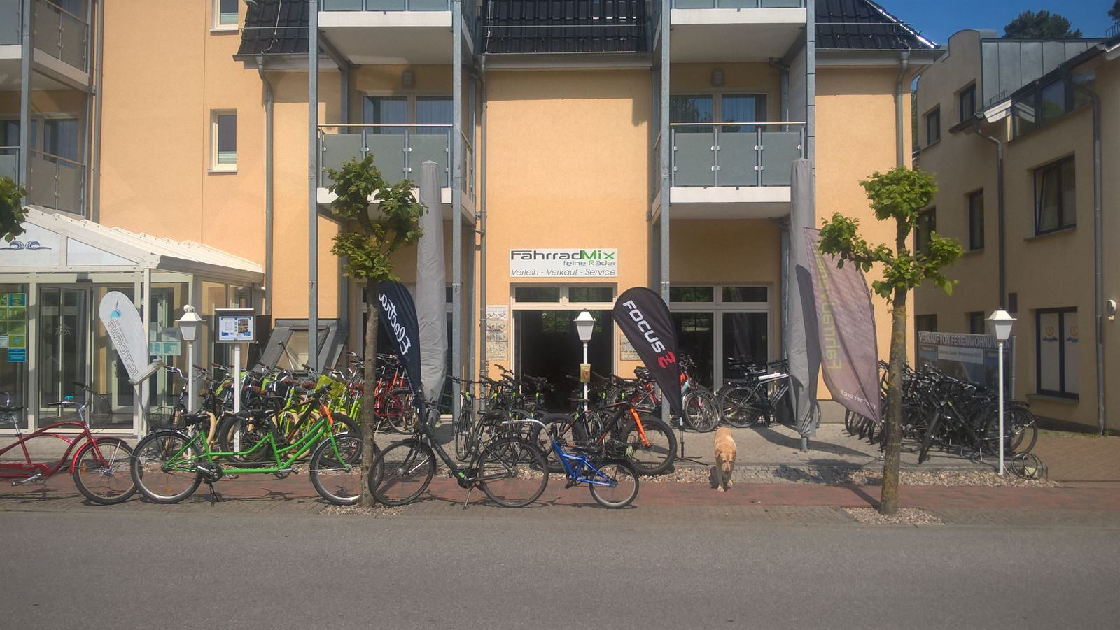fahrrad mieten rügen
