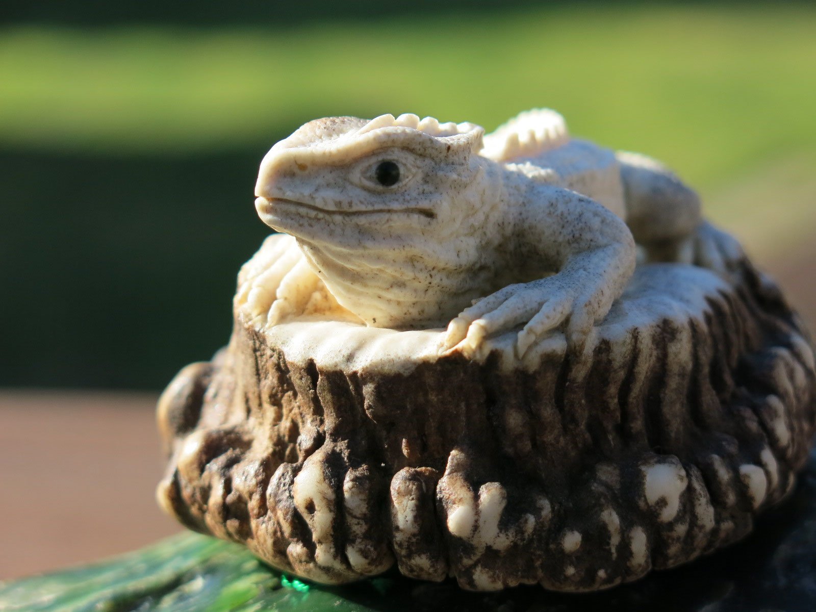 Unique Bone carvings - Fumio Noguchi Carving