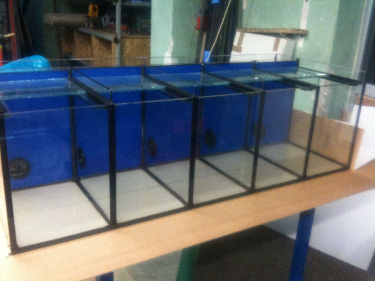 Spezialbauten & Sonderanfertigungen - Aquarienbau Berlin, eigene