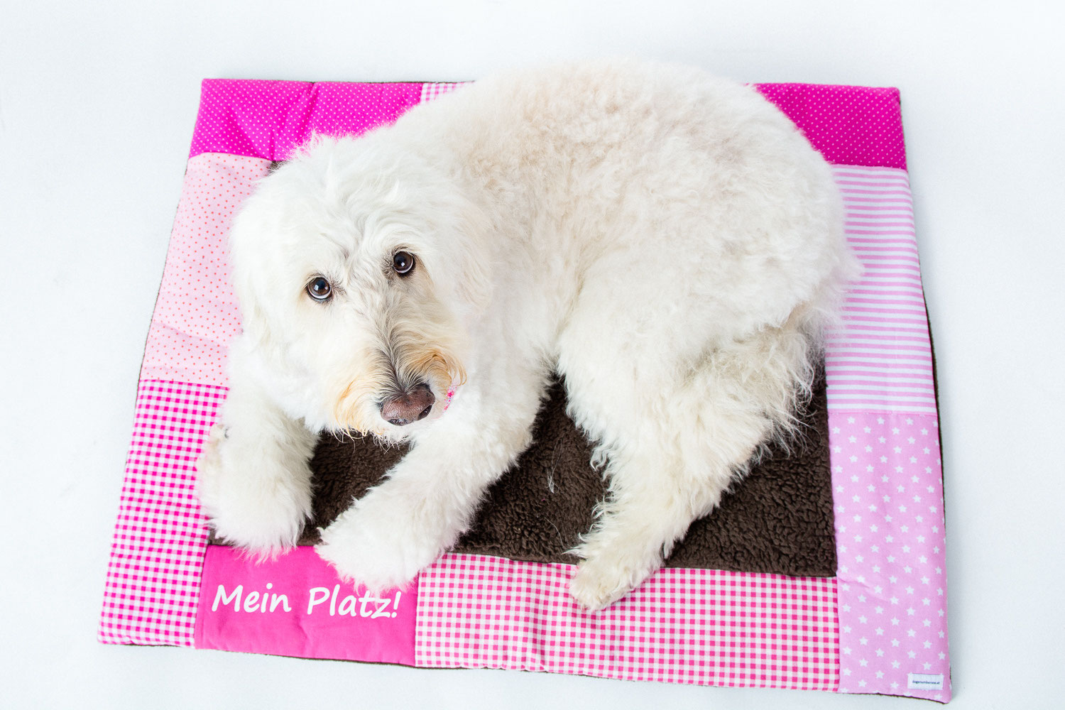 decken für hunde hunde decken dogsnumberone at decken für hunde hunde decken dogsnumberone at