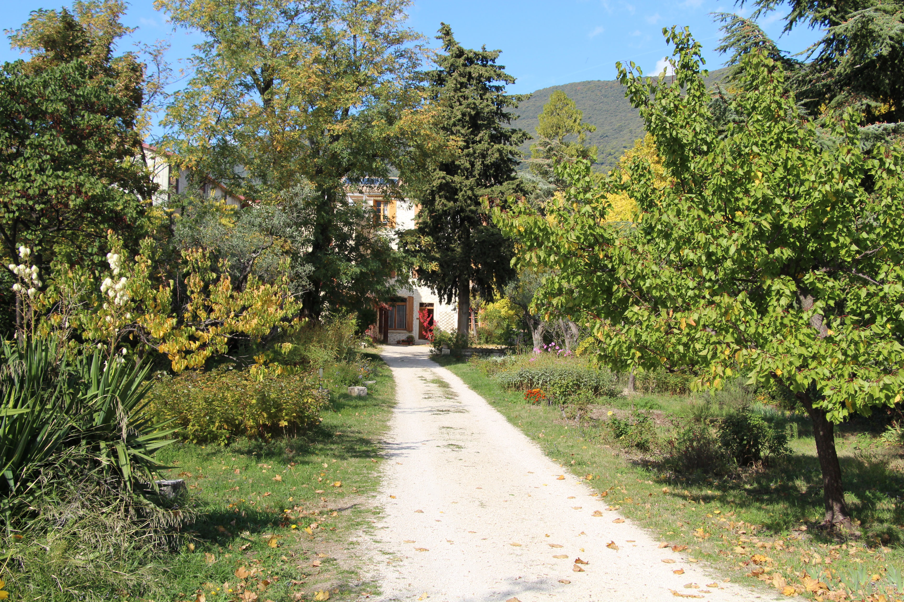 Le Clos des Rûynes