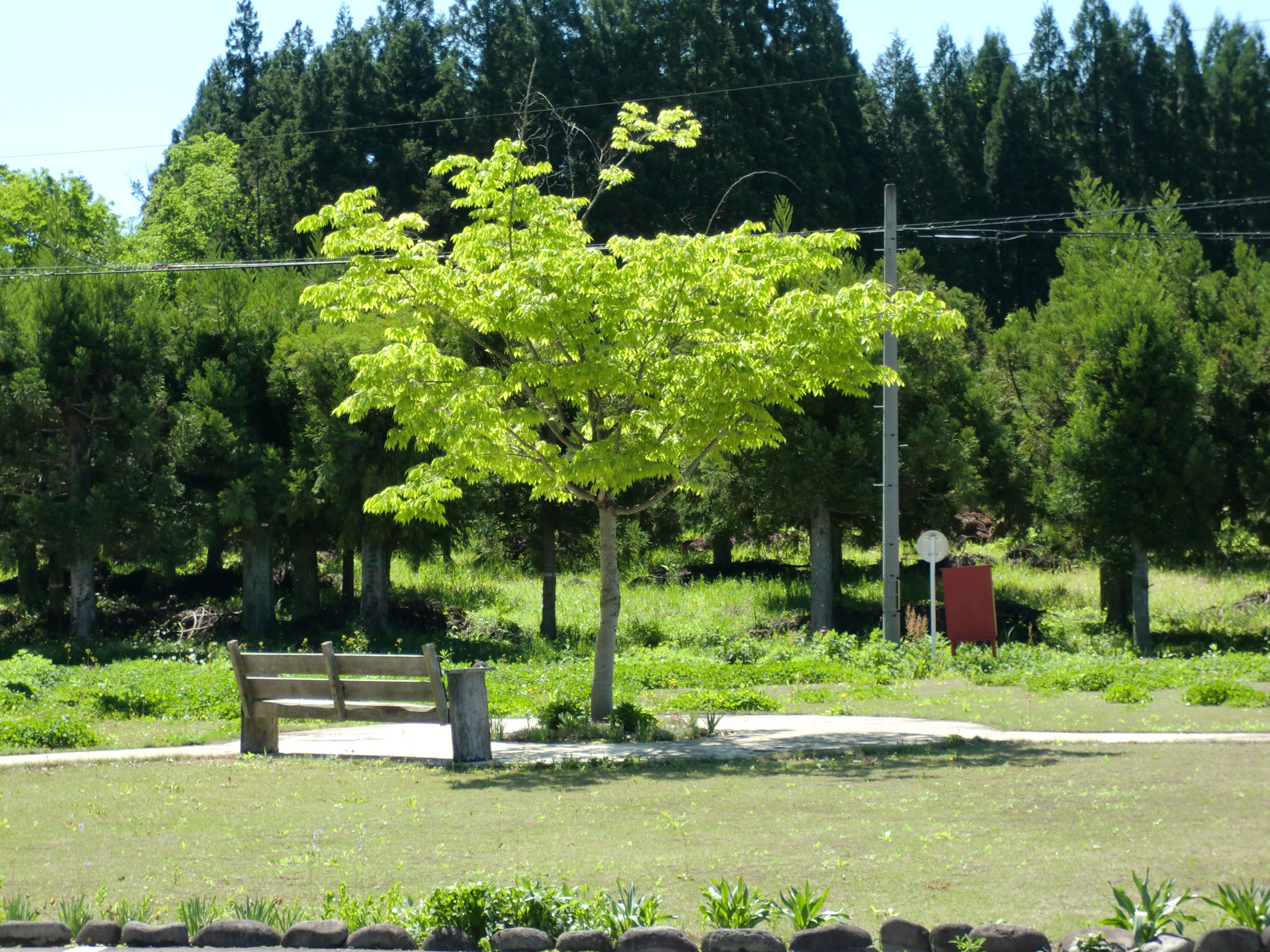 株式会社金山住建