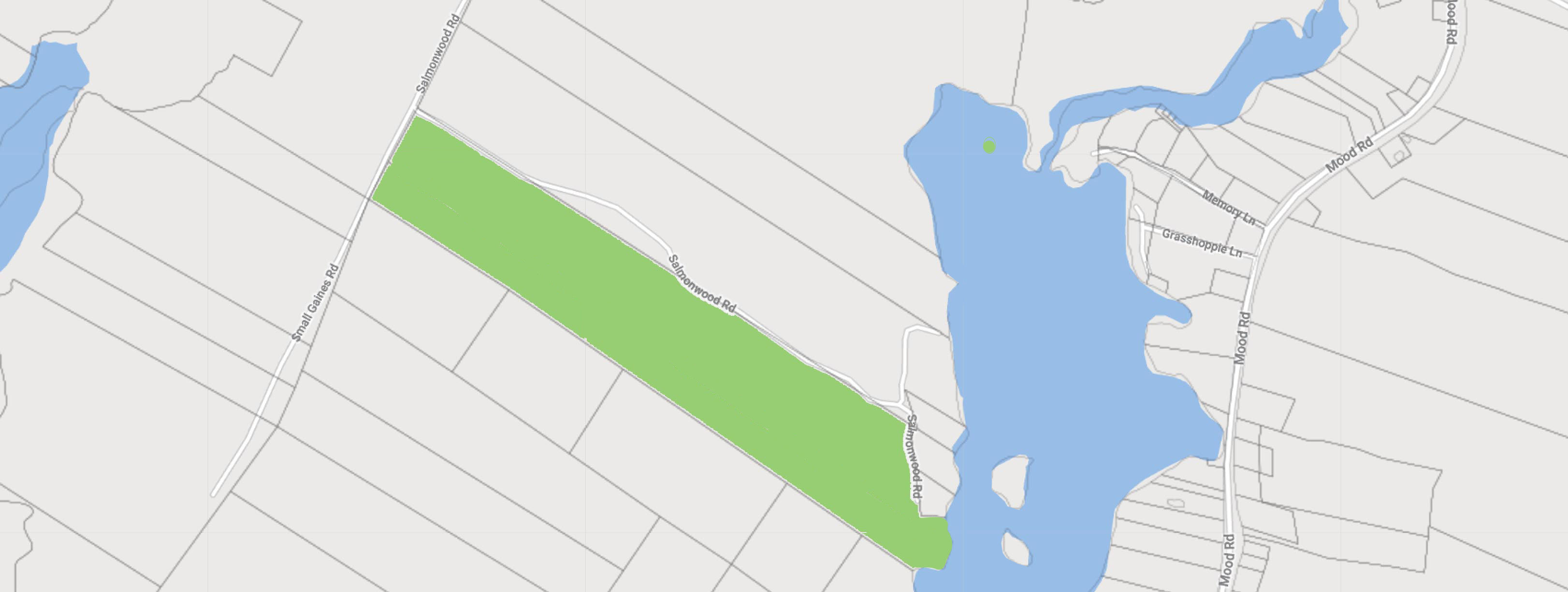 44 Hektar Wald mit 200m Seeufer am Salmon Lake Kanada Immobilien