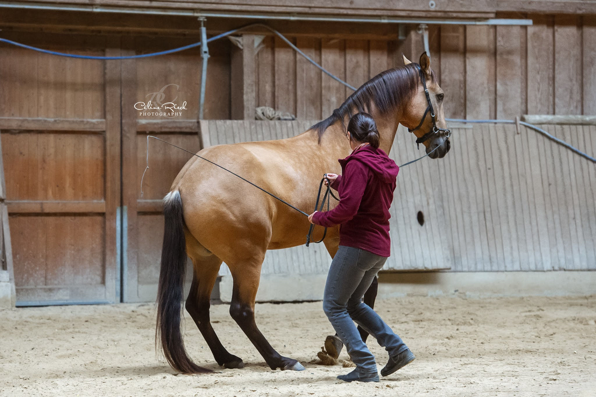 Impressionen - Zwischen Mensch und Pferd - Horsemanship