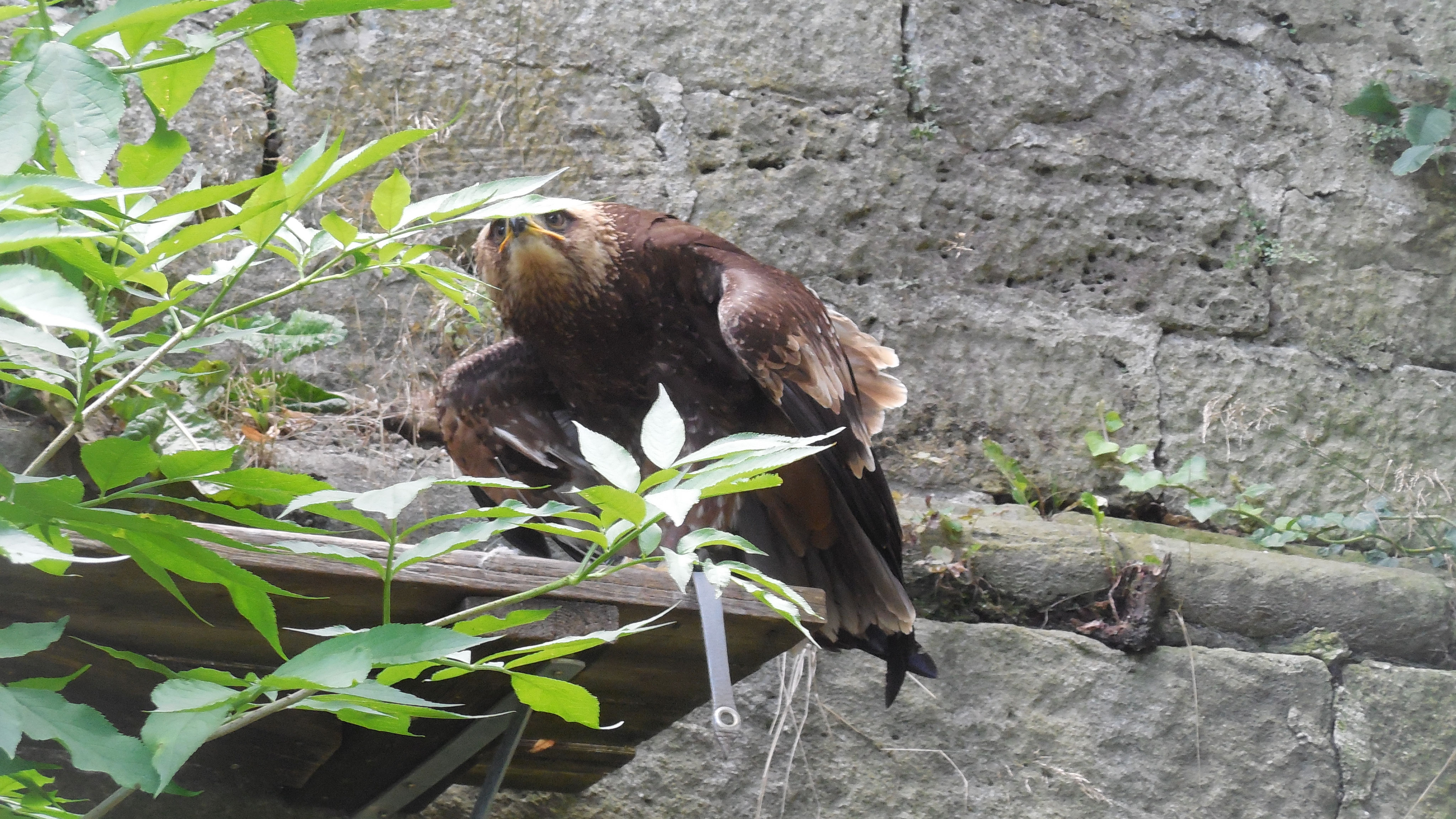 James Aggrey Altenheimseelsorge