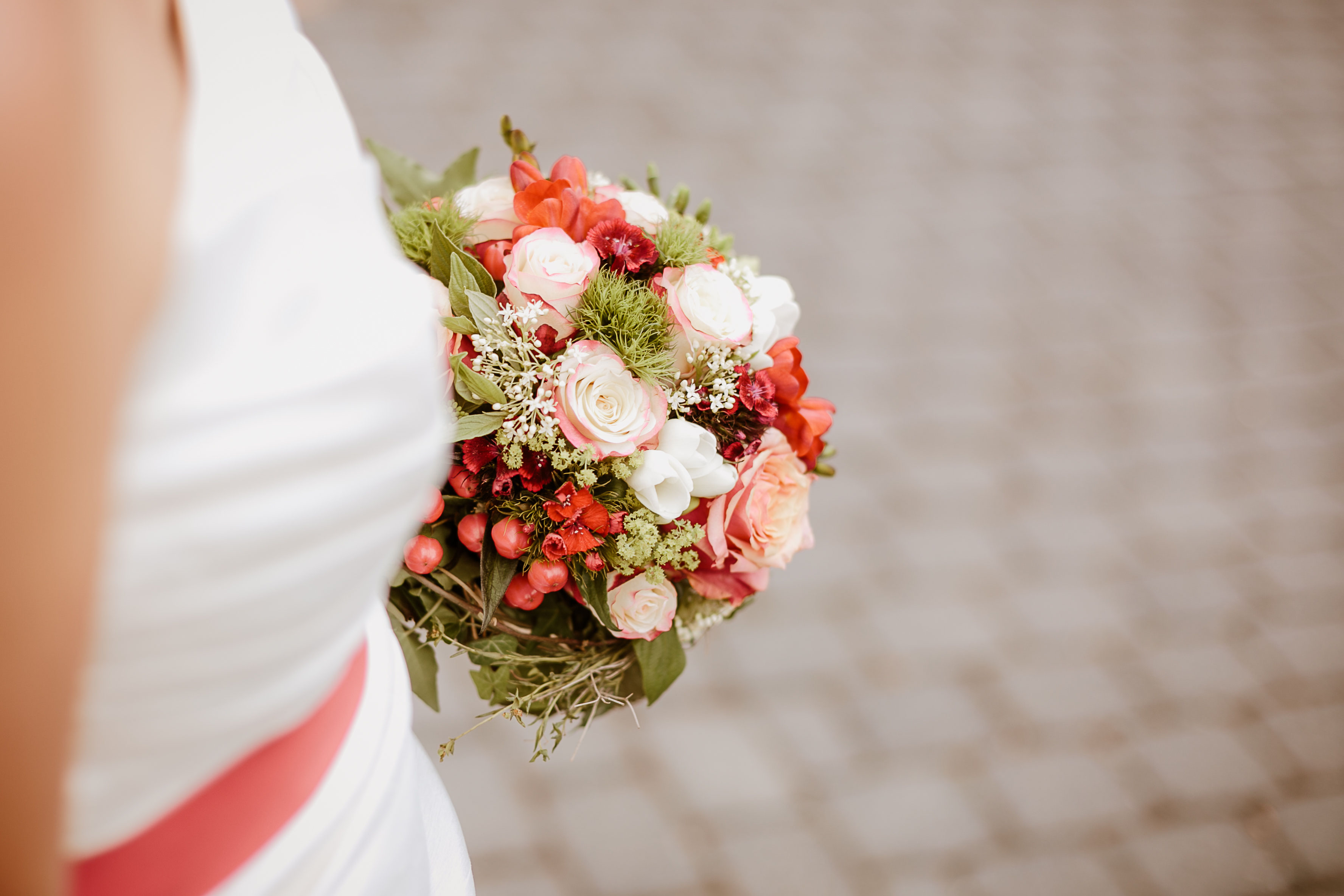 Straussbar Instagram Posts Photos And Videos Picuki Com