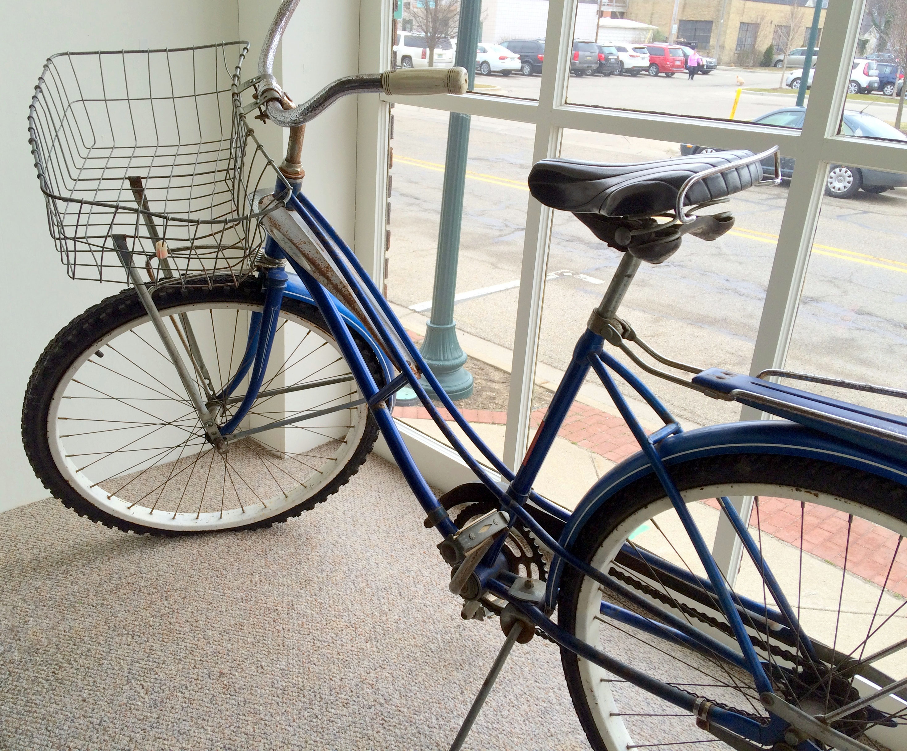 1950s Flightliner Bike February 19, 2017 Zeeland