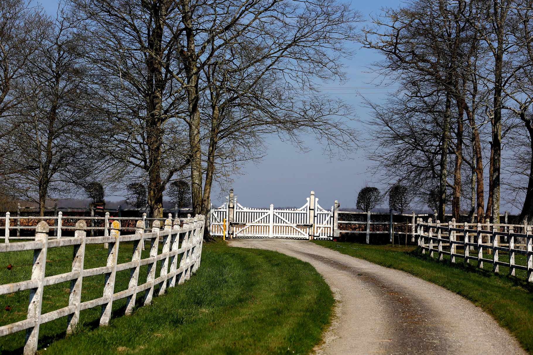 LE HARAS DU BUT