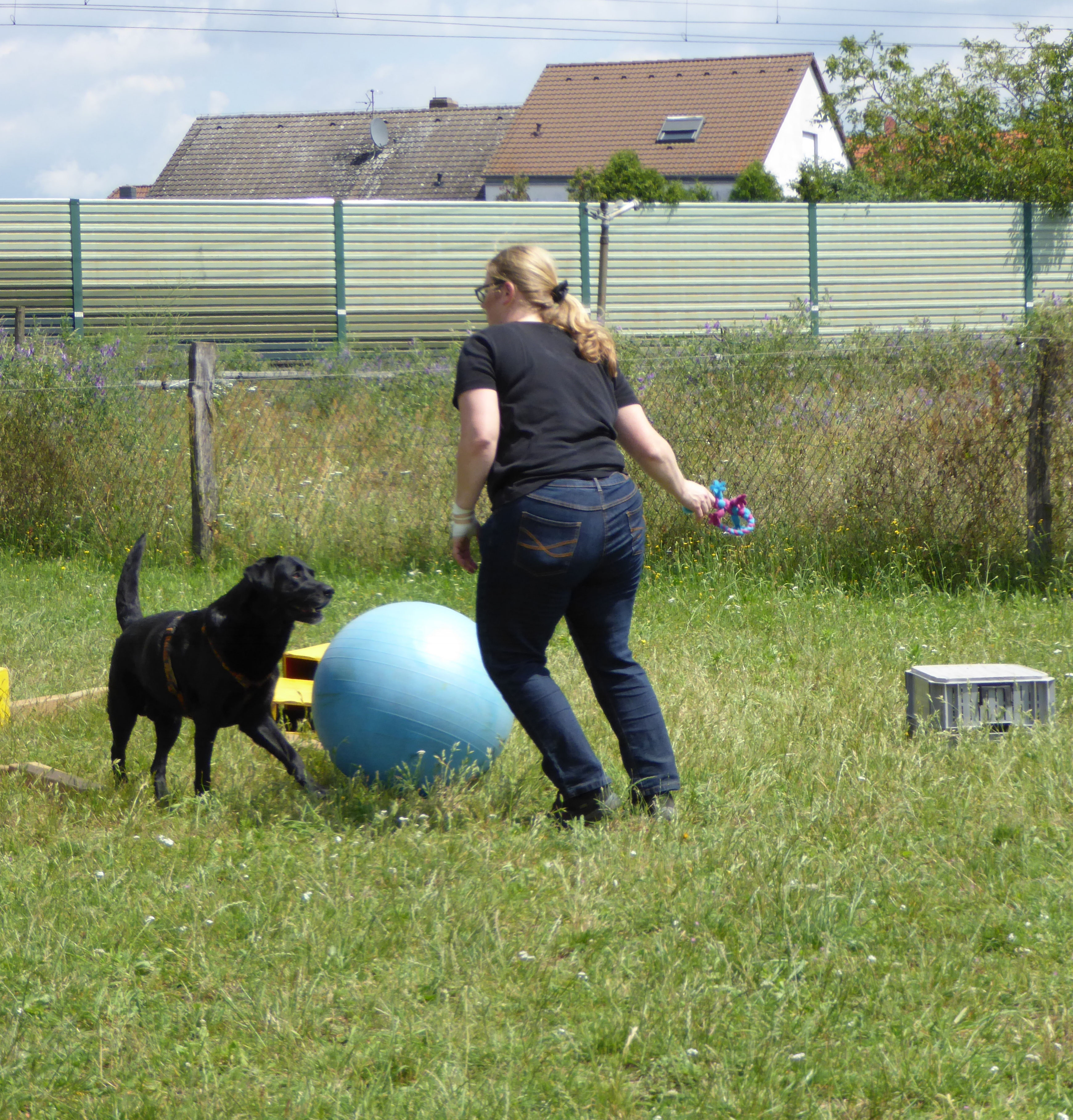 (c) Hundeschule-gross-und-klein.de