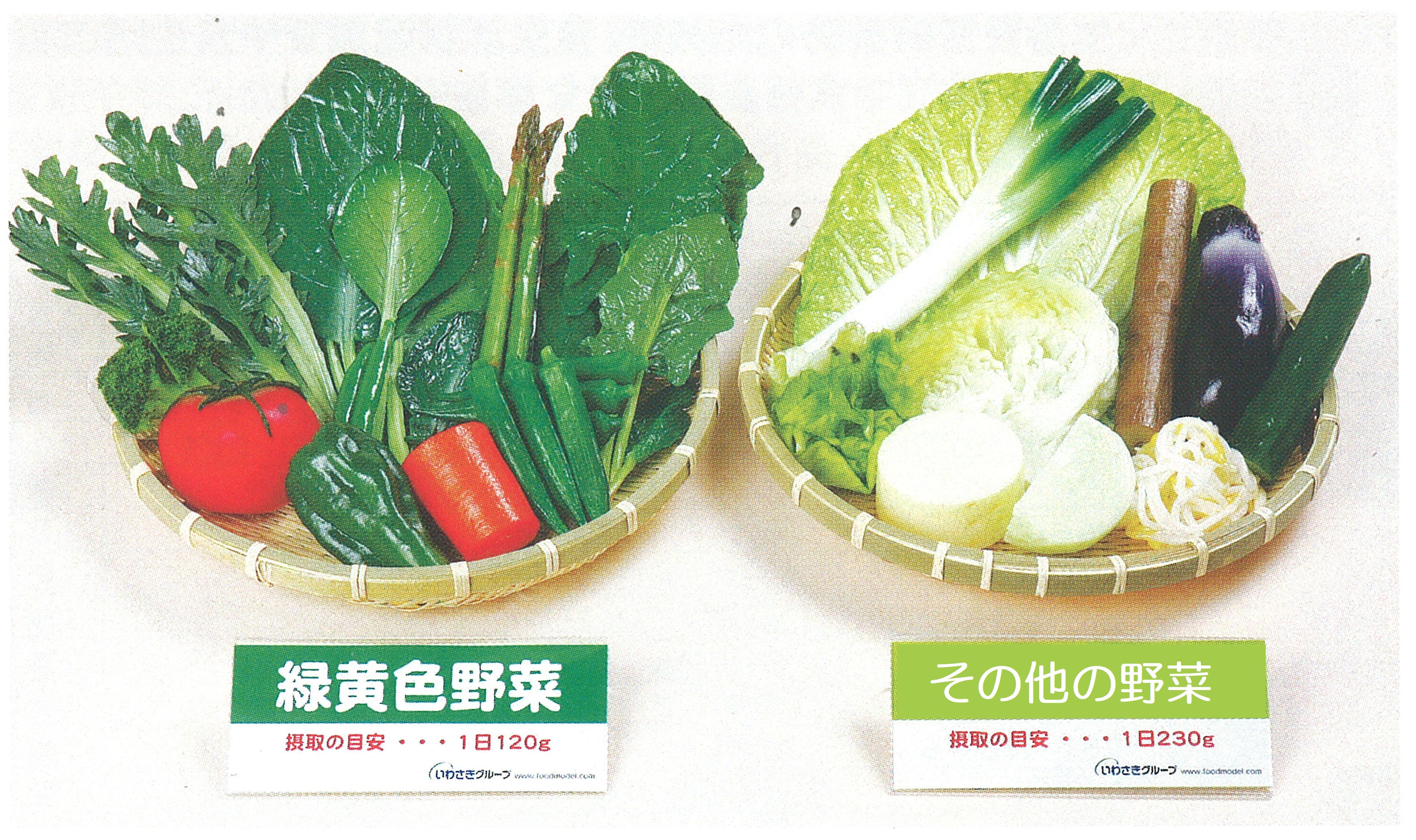 野菜350gフードモデル - 徳島県学校給食会 野菜350gフードモデル - 徳島県学校給食会