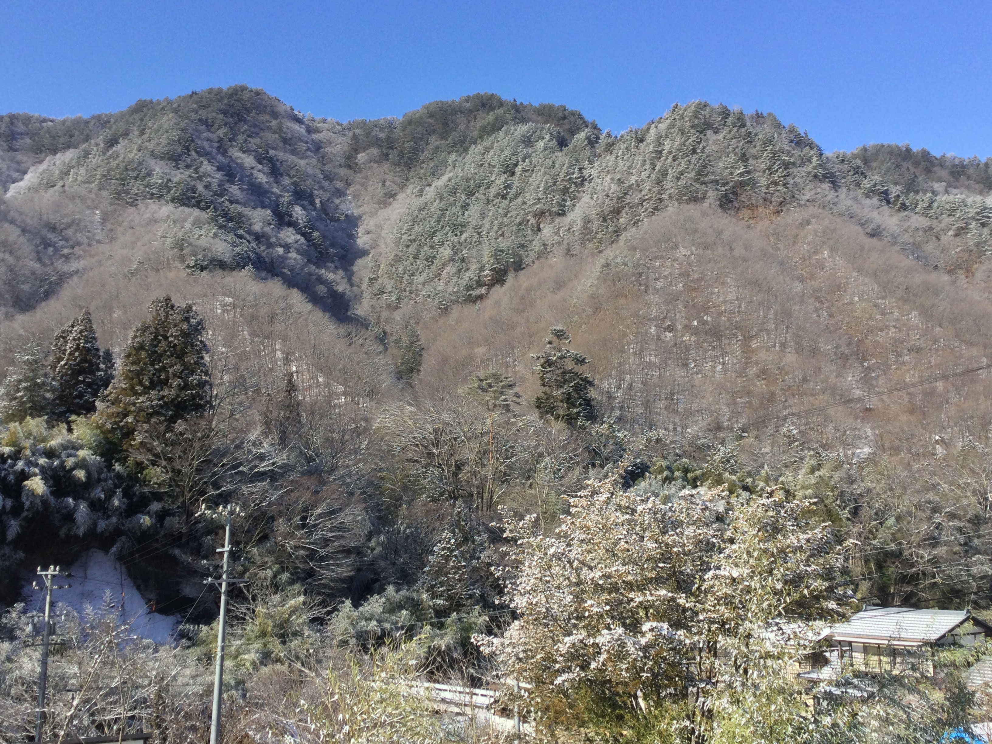 泊まれる猫カフェ クラシコ 長野県東筑摩郡筑北村 泊まれる猫カフェ クラシコ 長野県東筑摩郡筑北村