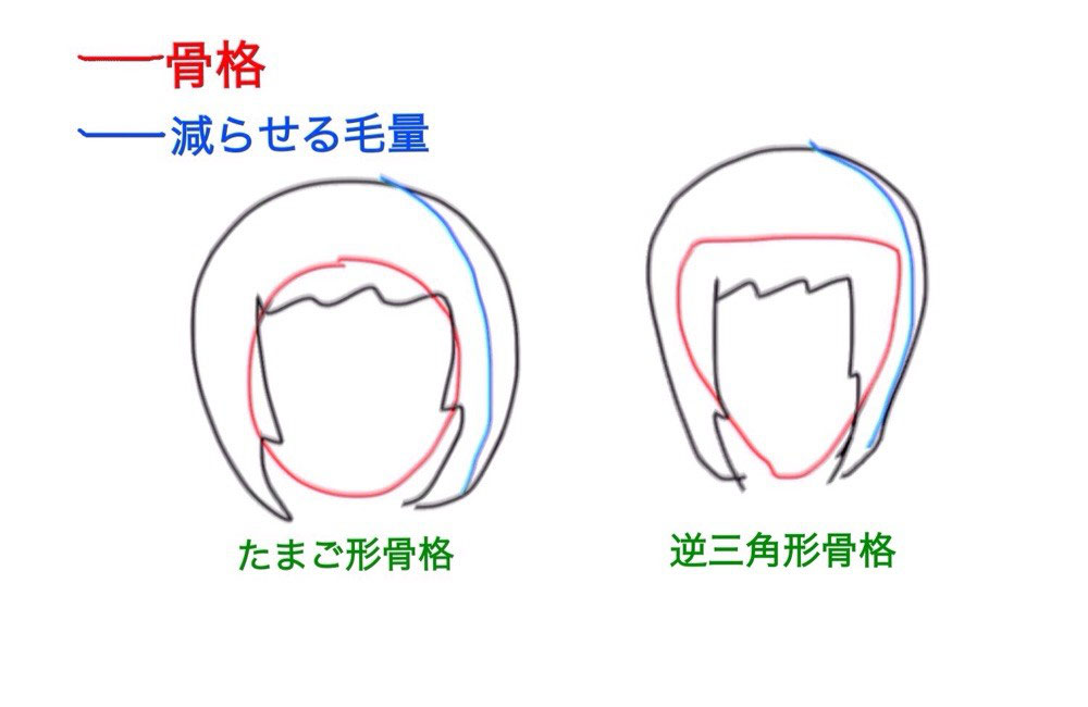 ヘアスタイルの重い軽いを毛量だけではなく頭の骨格の形でも考えてみる ノ K Style 舞鶴市 美容室 ヘアスタイルの重い軽いを毛量だけではなく頭の骨格の形でも考えてみる ノ K Style 舞鶴市 美容室