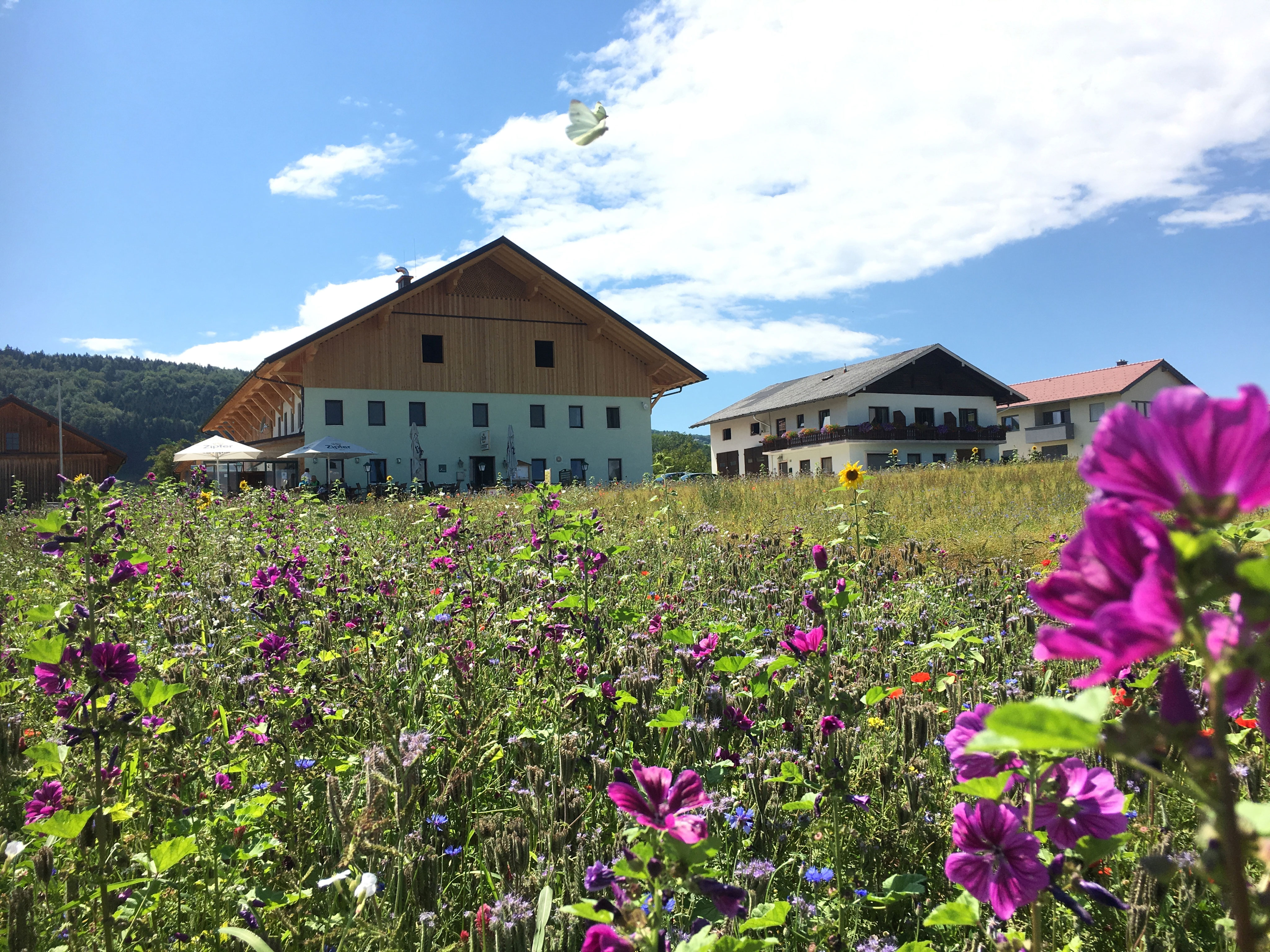 Gasthof Pension Kreuzerhof