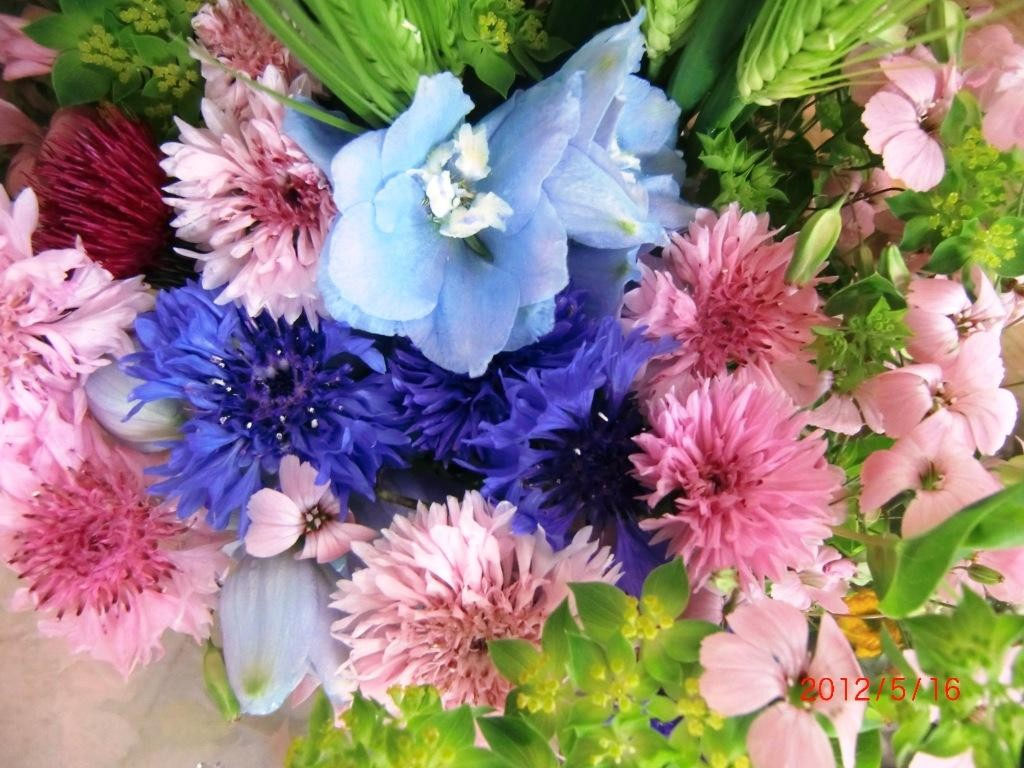 綺麗なお花です 道の駅 たけゆらの里おおたき