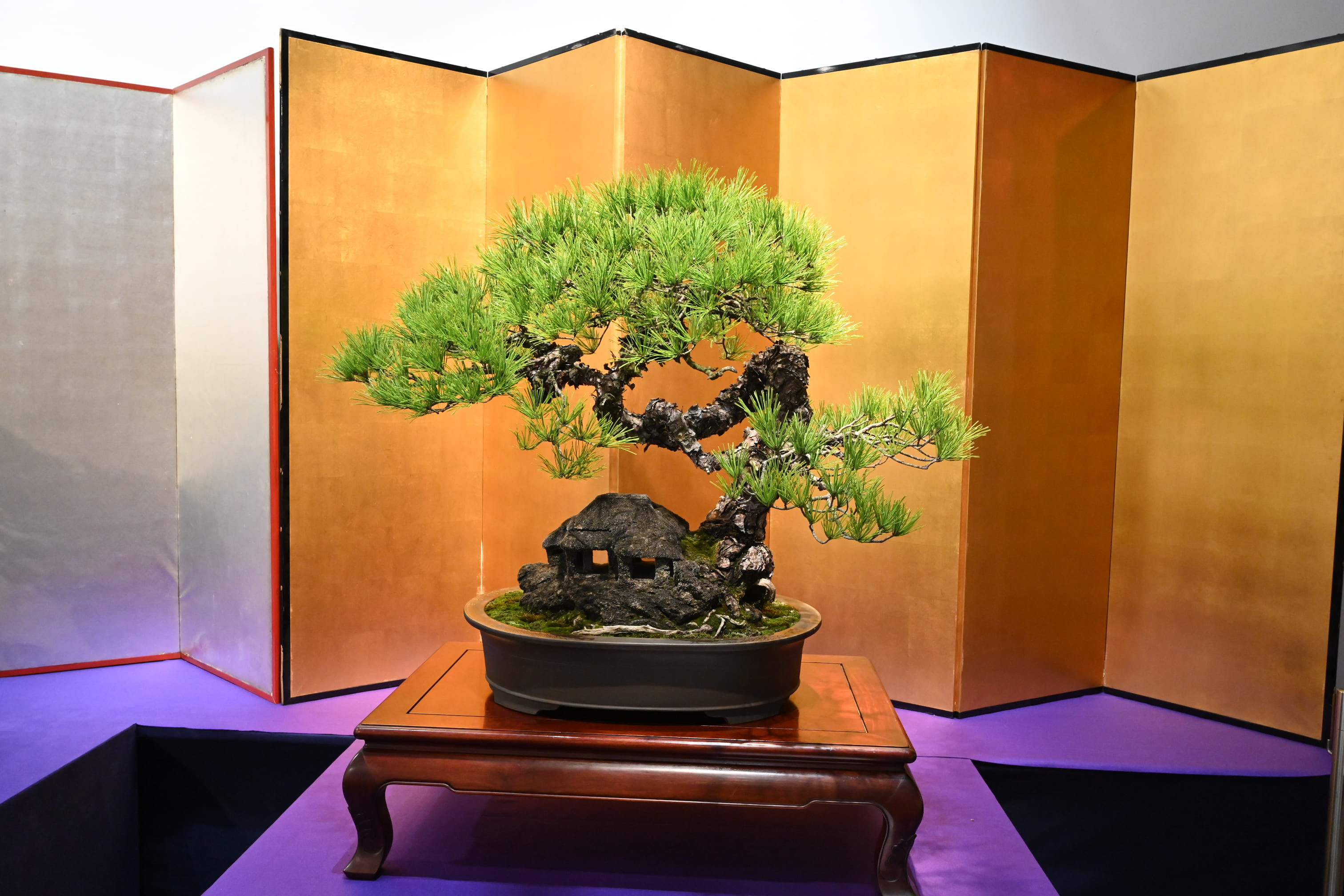縁起の良い木 - 庭木図鑑 植木ペディア