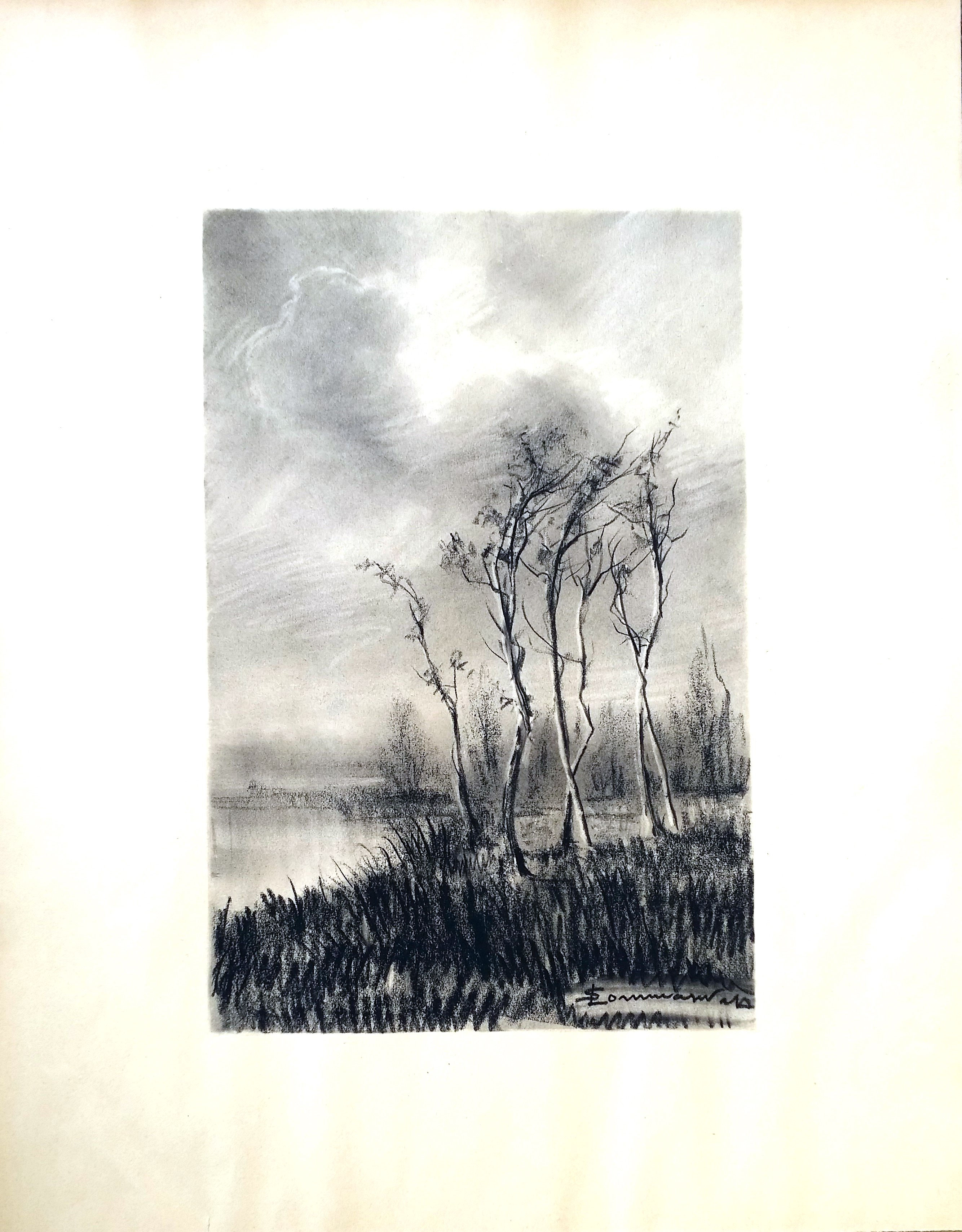 Disegni Veristi Licurgo Sommariva Artista Pittore Surrealista 1900 Milano Ancona Venezia Quadri Moderni Paesaggi Paludi