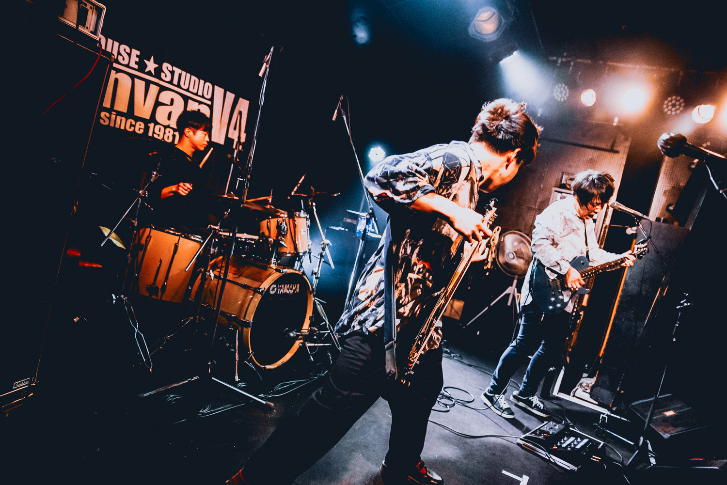 Home The Cells Official Site Home The Cells Official Site