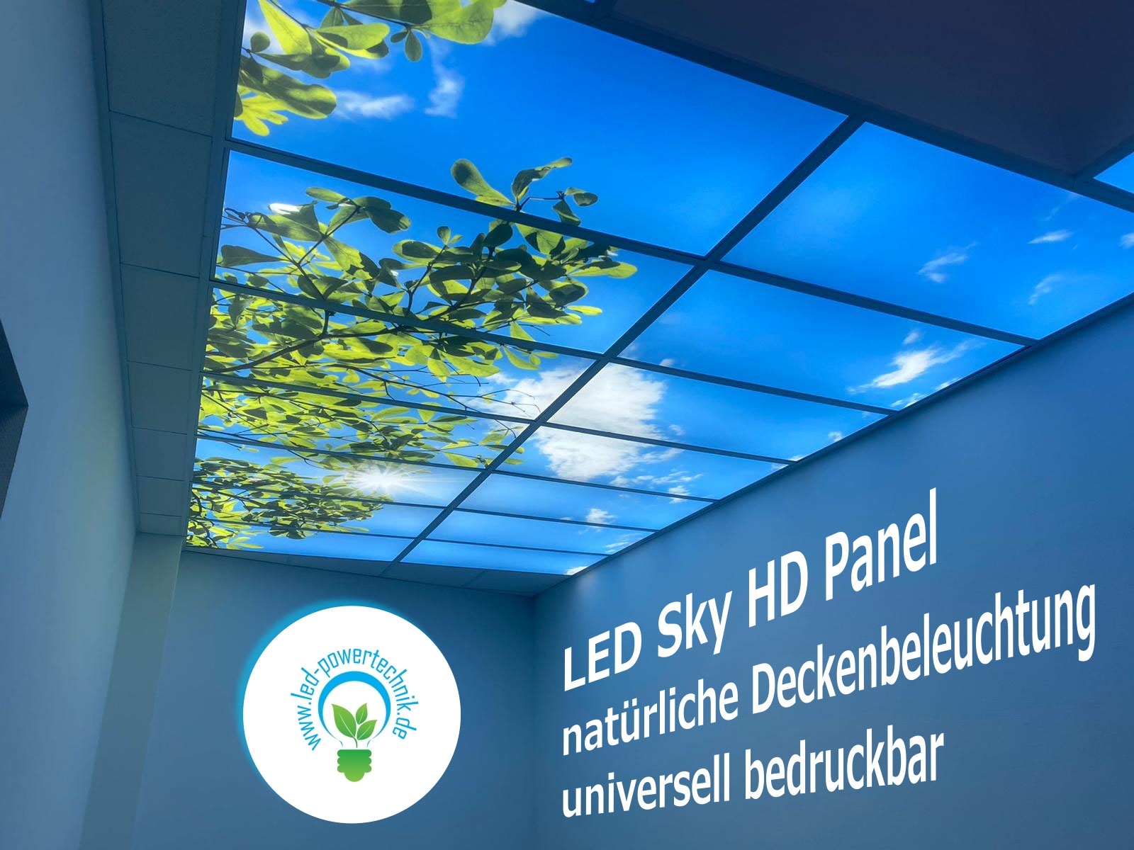 Deckenbild Motivplatten Leuchtbilder Deckenbilder Produkte Fineart Und Led