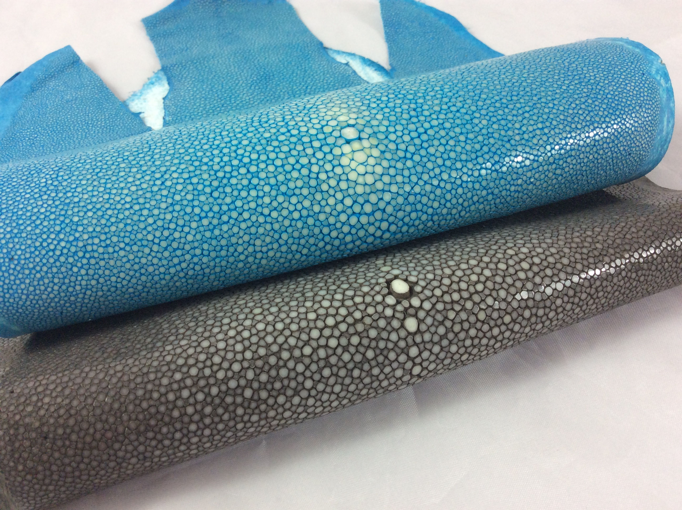 Buy Exotic Leather / exoticleather supplier europe / leder kaufen