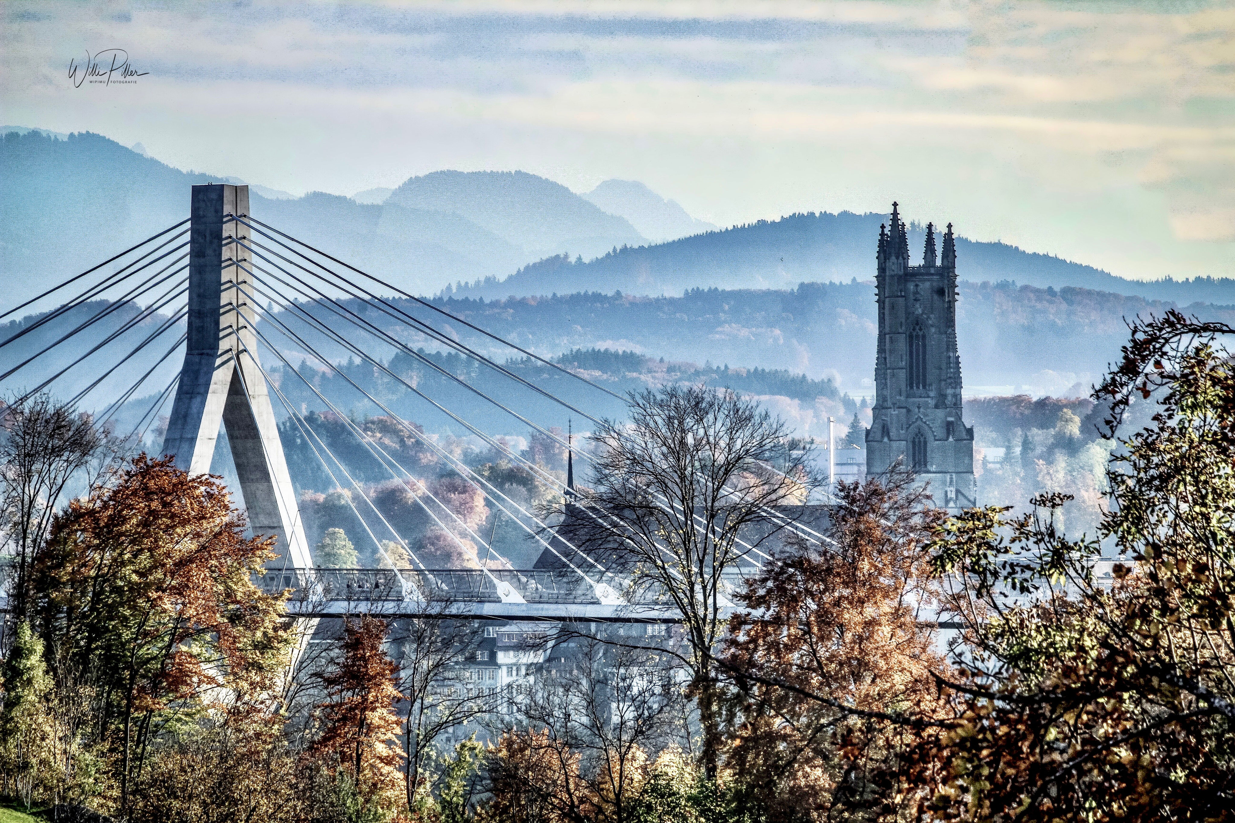 Copyright Wipimufoto.ch (c) Wipimufoto.ch