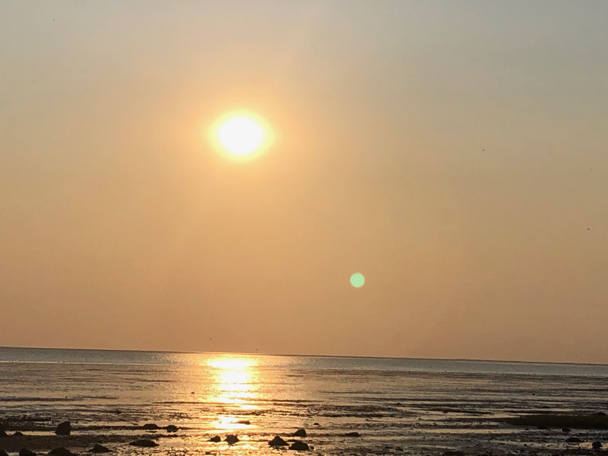 Heiraten Am Strand In Danemark