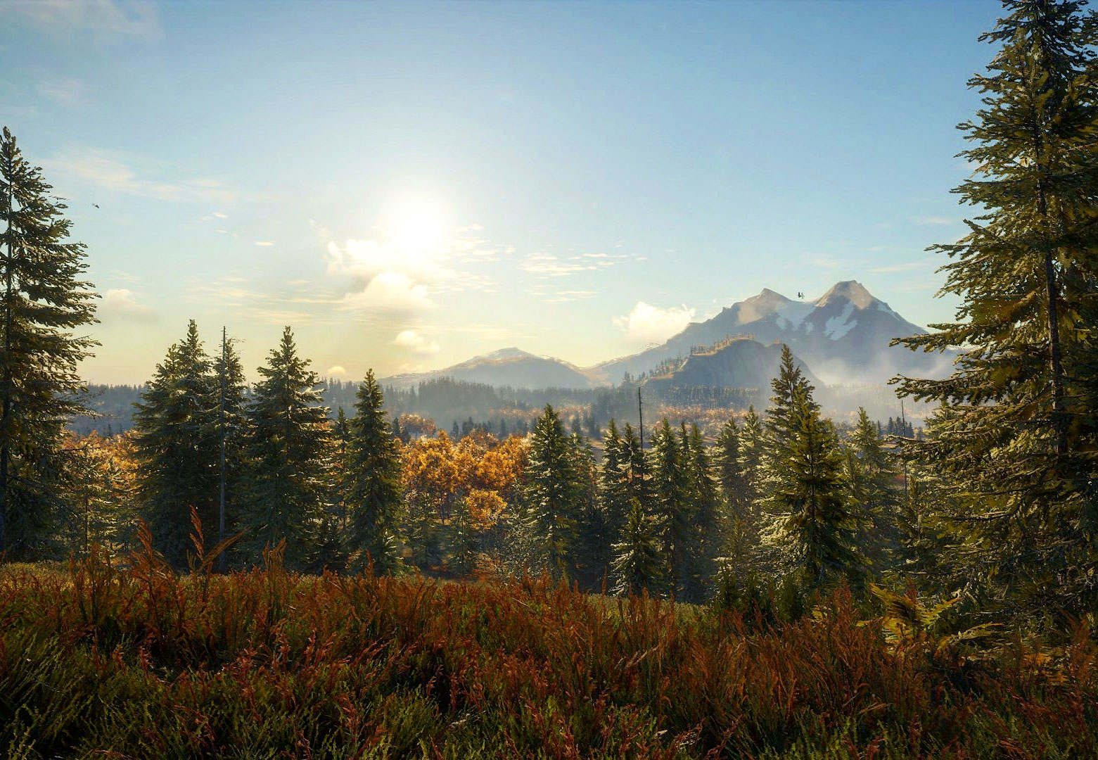 Layton Lake District jimdo page!