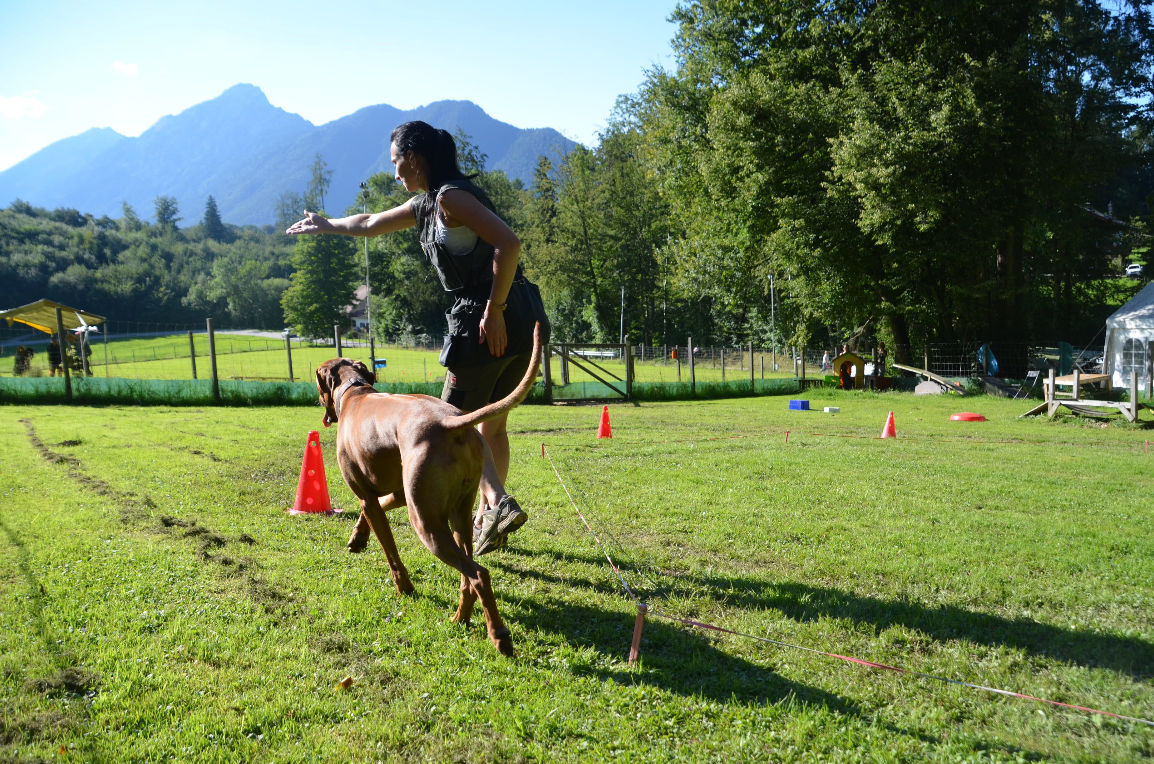 LONGIEREN Nähe durch Distanz hundertpro HUND