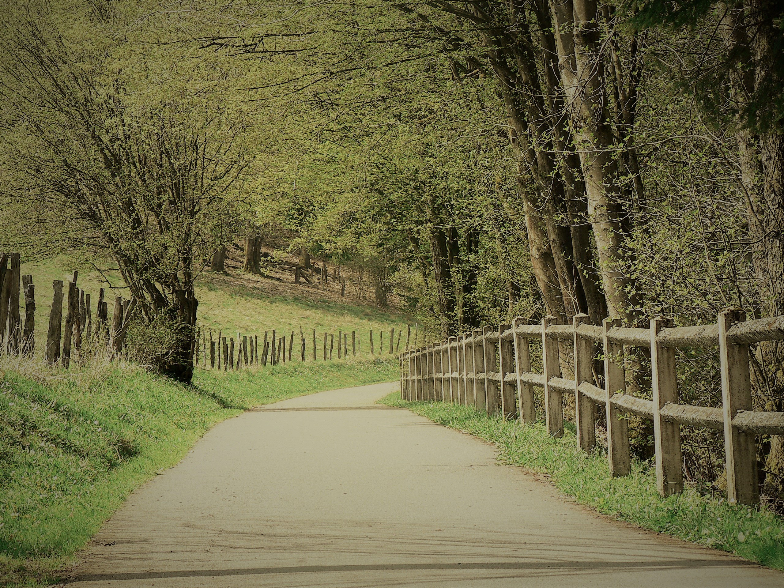 Naturfotografie freetimephotographys seite!