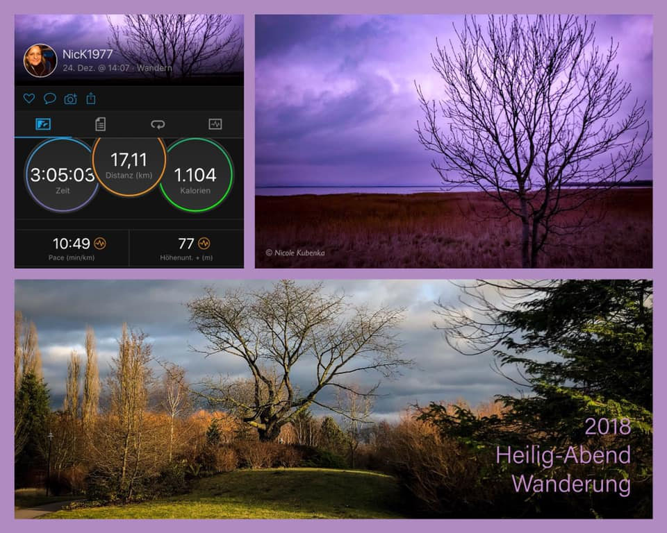 Mein Weihnachten 2018 oder entgegen allen Erwartungen - n-kubenkas