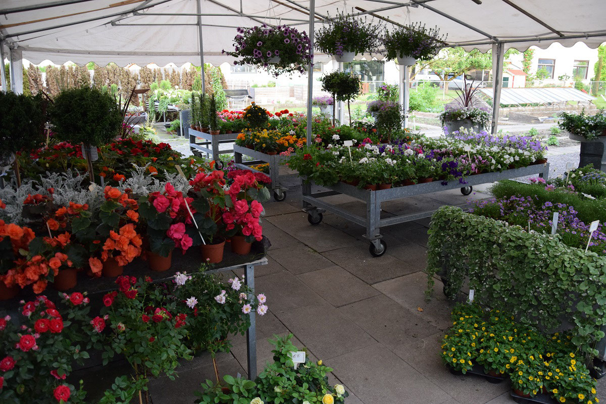 Blumen Hagen Blumen Hagen