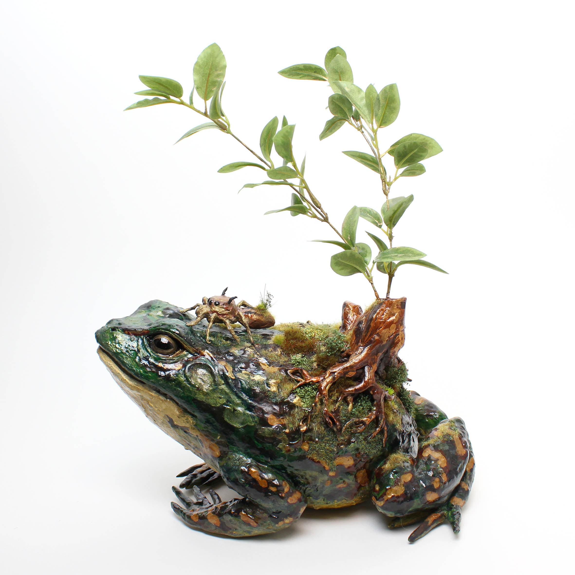 ガマと旅[蛙×ハエトリグモ] - koubou-yagigura ページ！