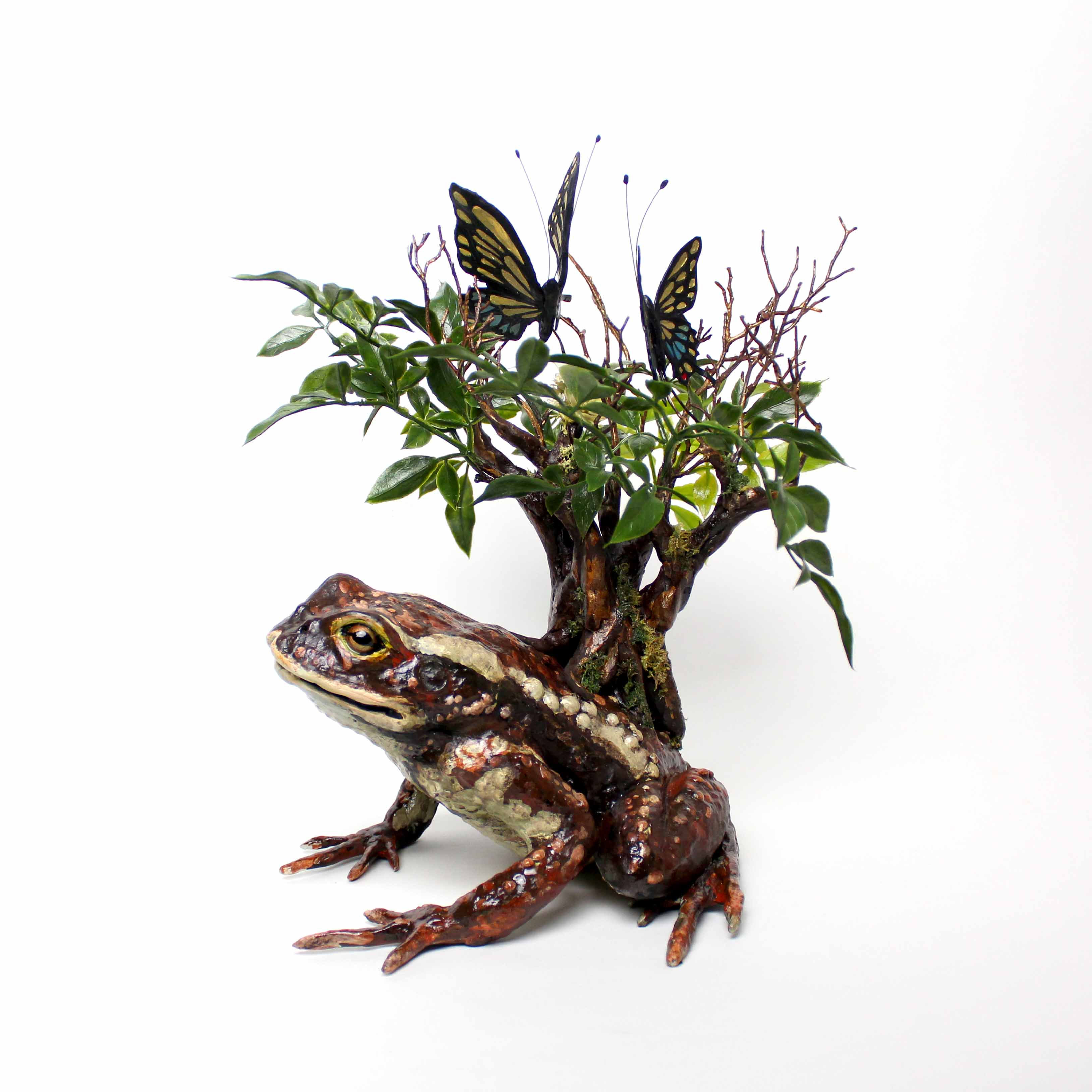 ガマガエルページ 蝦蟇森[ガマガエル] - koubou-yagigura ページ！