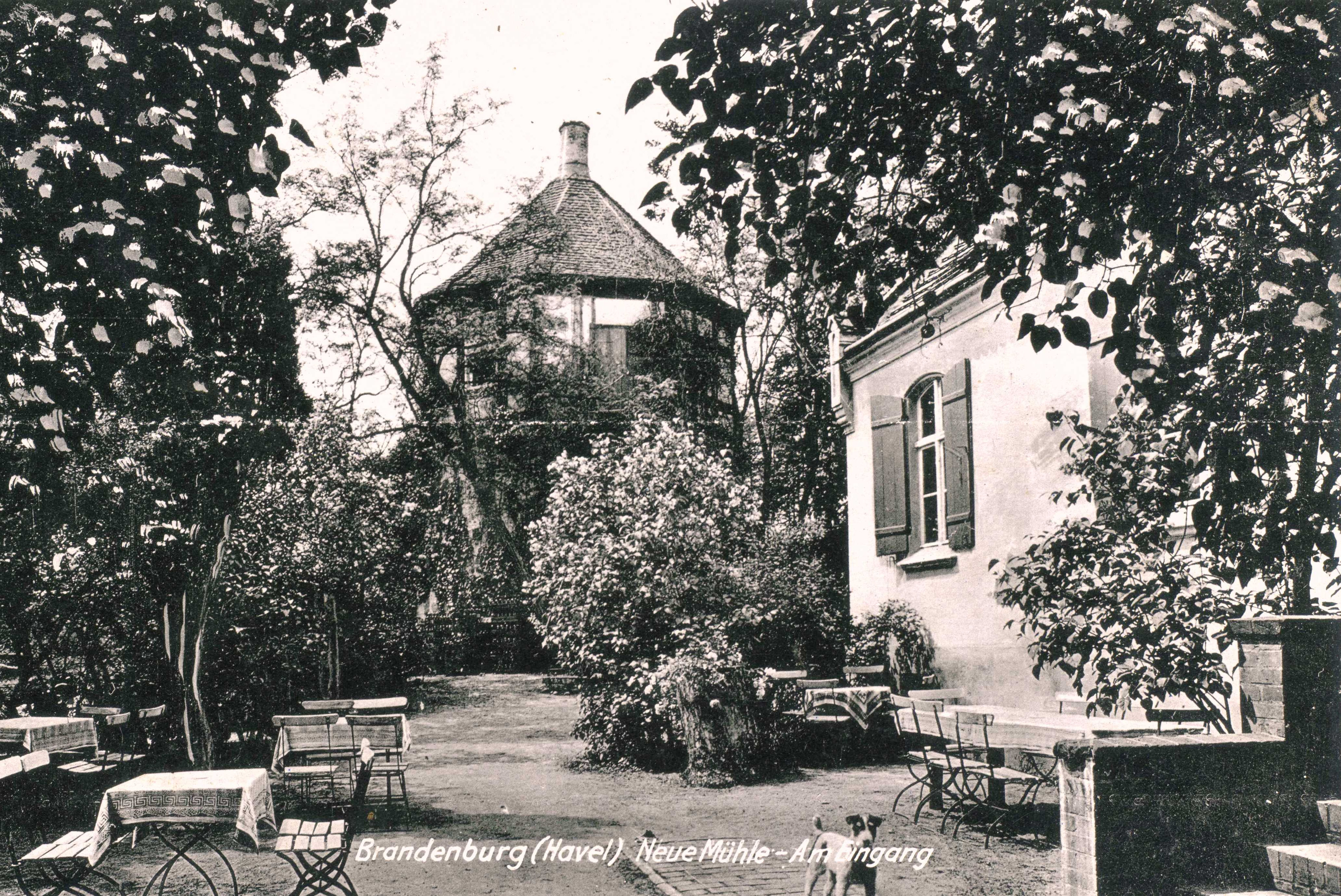 Start Neue Mühle Hotel Pension Restaurant