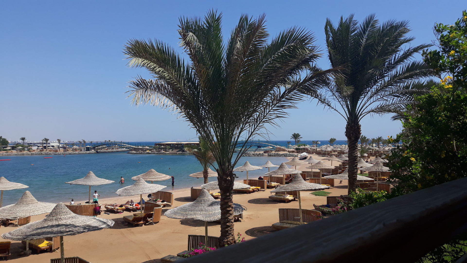 Desert Rose Resort - Karibikfeeling in Hurghada