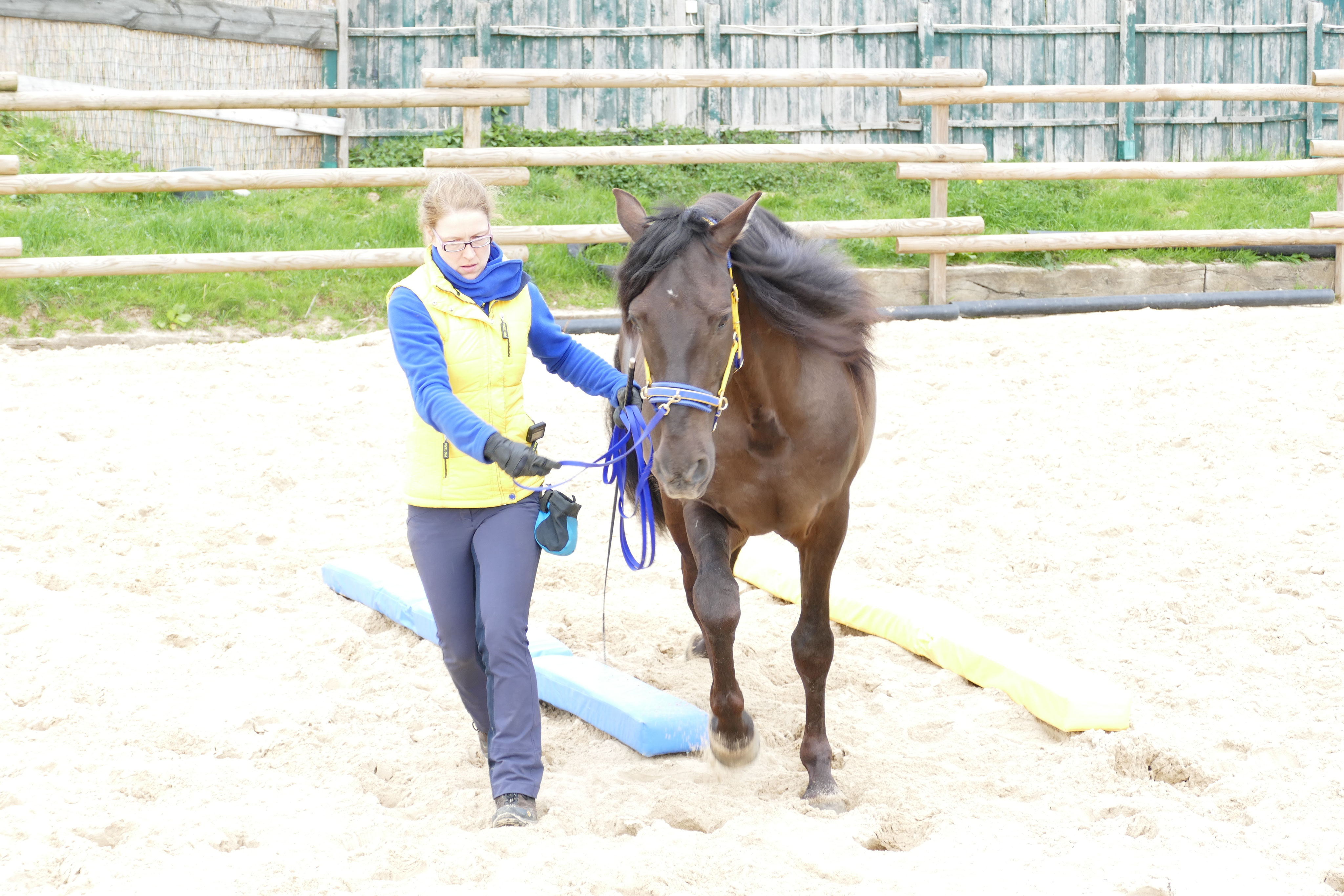 Was ist Was ist DualAktivierung u. wie es