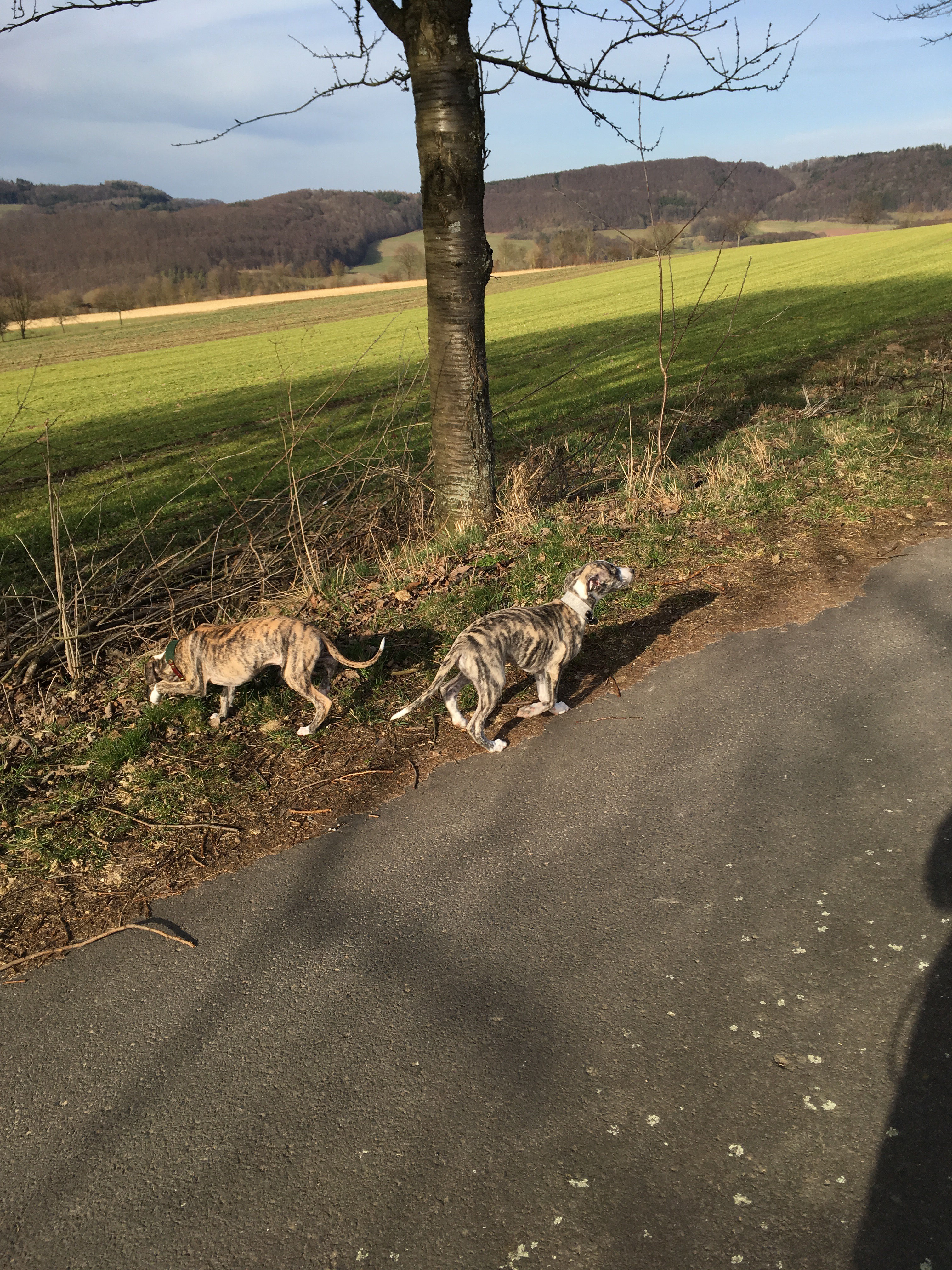 Lovely App Erfahrungen Lovely App Erfahrungen