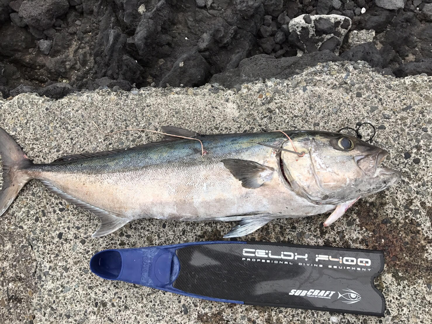 お客様の声 - スピアフィッシングワークス通販サイト