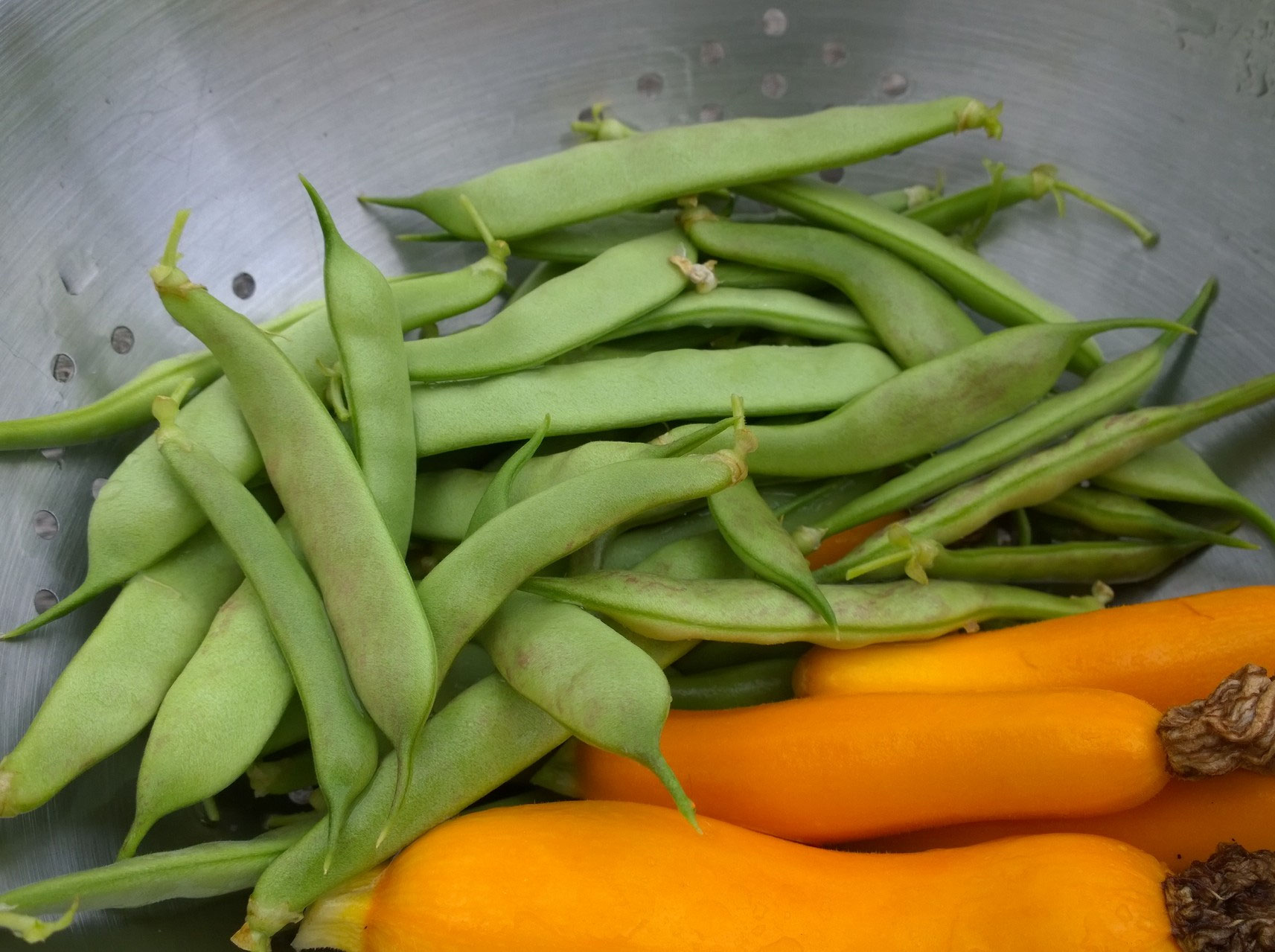 Palettengarten 2014 - warmekueche.at