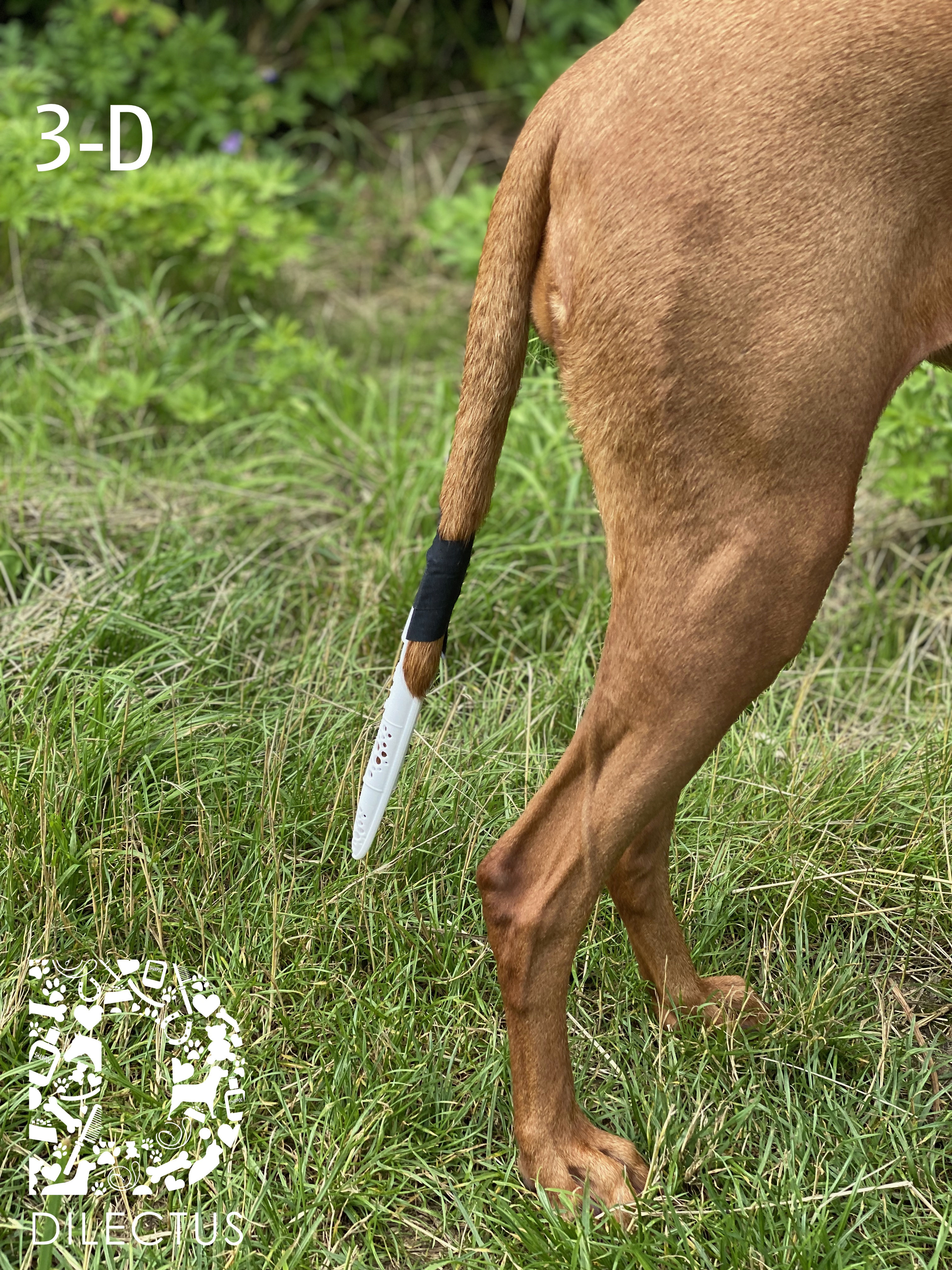 test welpen trockenfutter The Goodstuff Puppy/Junior für gesundes Wachstum – Welpenfutter Lachs  getreidefrei main image 0