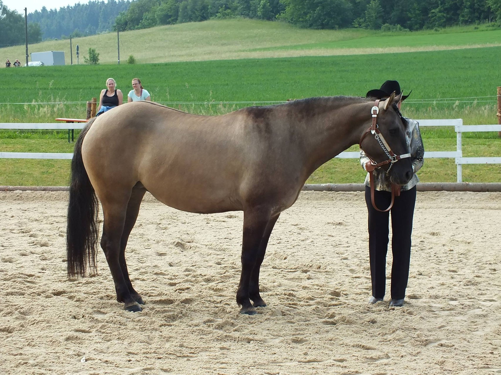 German Open Extreme Trail Sliding Horse Ranch