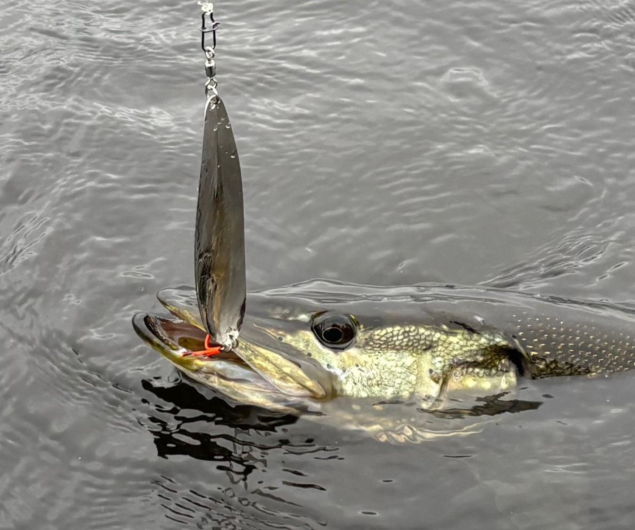 Cuillère De Pêche Allcock Argent 3 - Leurre Saumon Et Brochet Cuivre