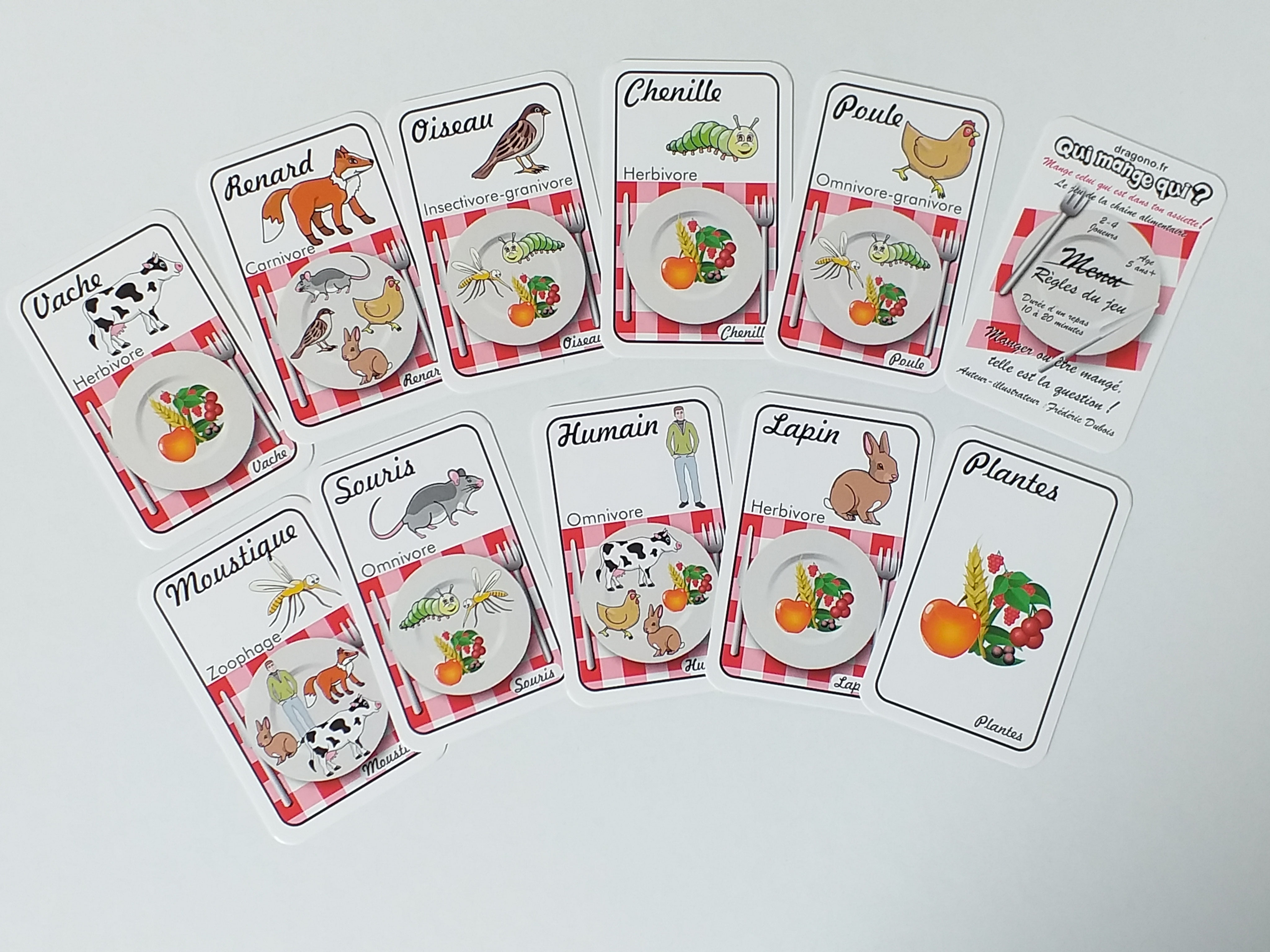 JEU de CARTES à imprimer sur la Chaîne alimentaire éducatif et amusant