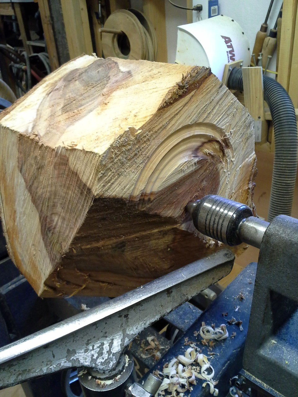Salvaging Elm Bowlweevil Woodturning