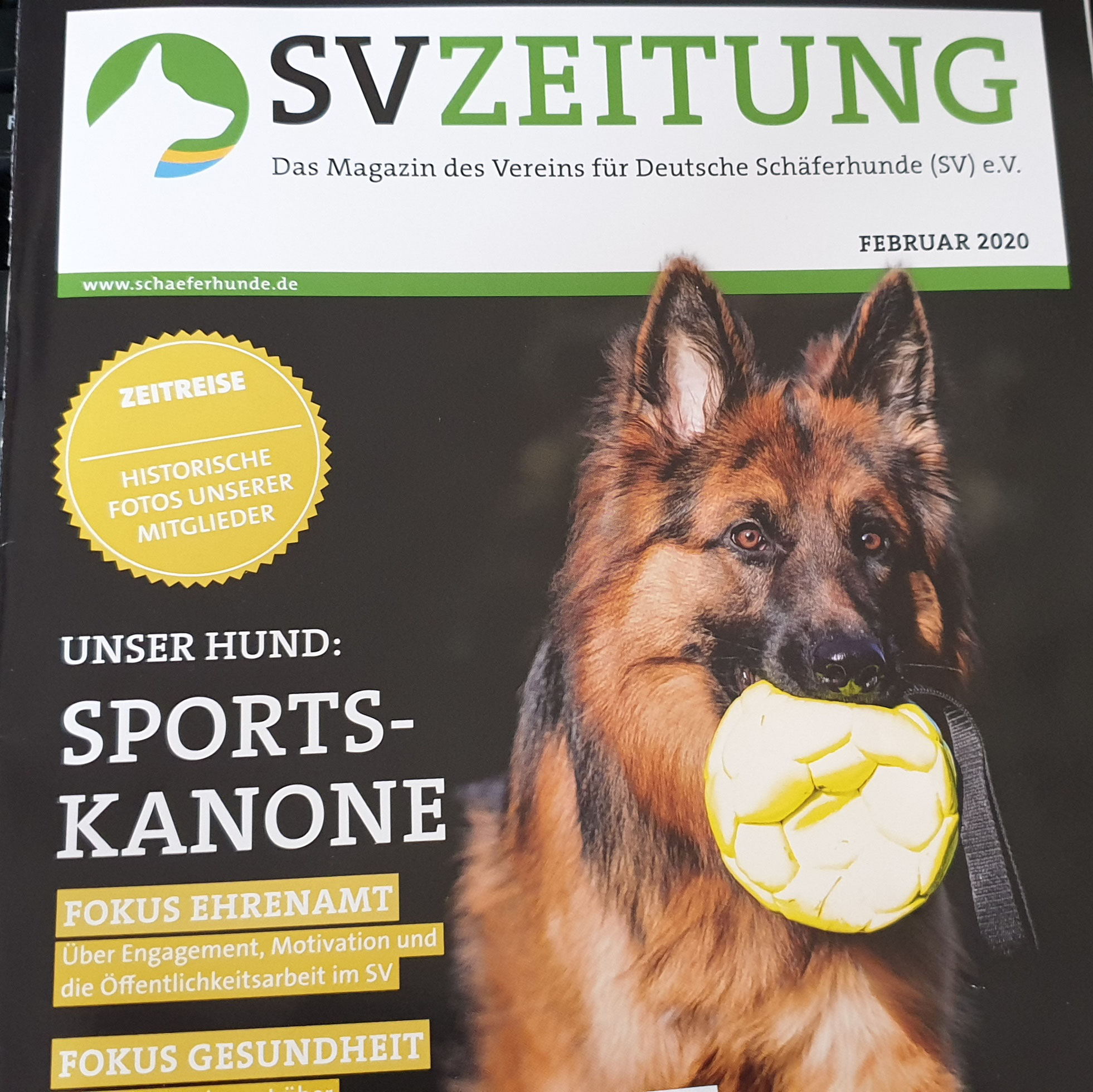 News Ereignisse Sv Og Hochheim