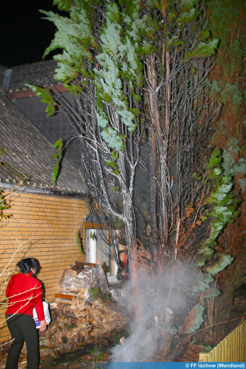 Brandeinsatz; Brennender Baum Freiwillige Feuerwehr Lüchow (Wendland)
