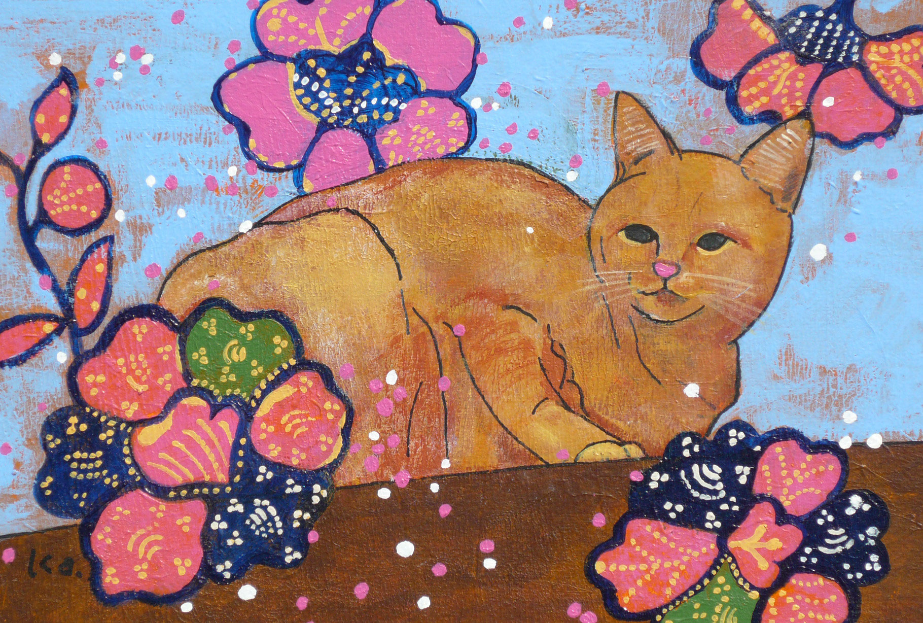cat - k-nawa