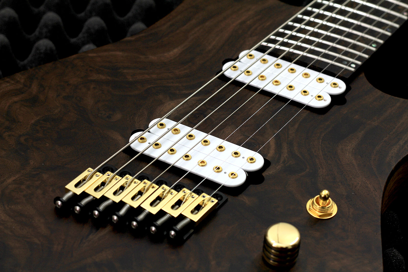 Gallery VanderMeij Guitars custom guitars made in Amsterdam