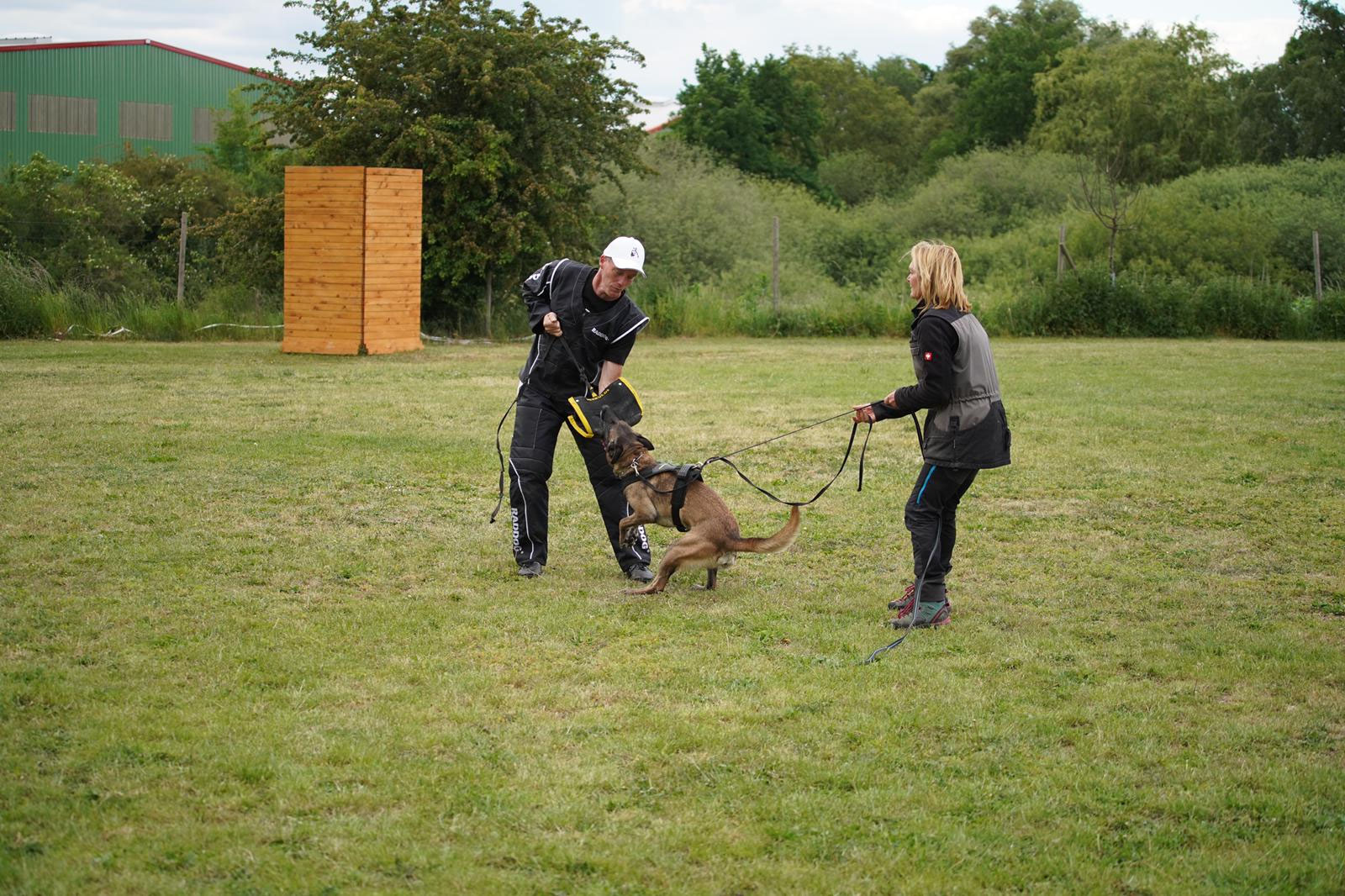 Schutzdienst/IGP Hundeschule TeampartnerHundHoya e.V.