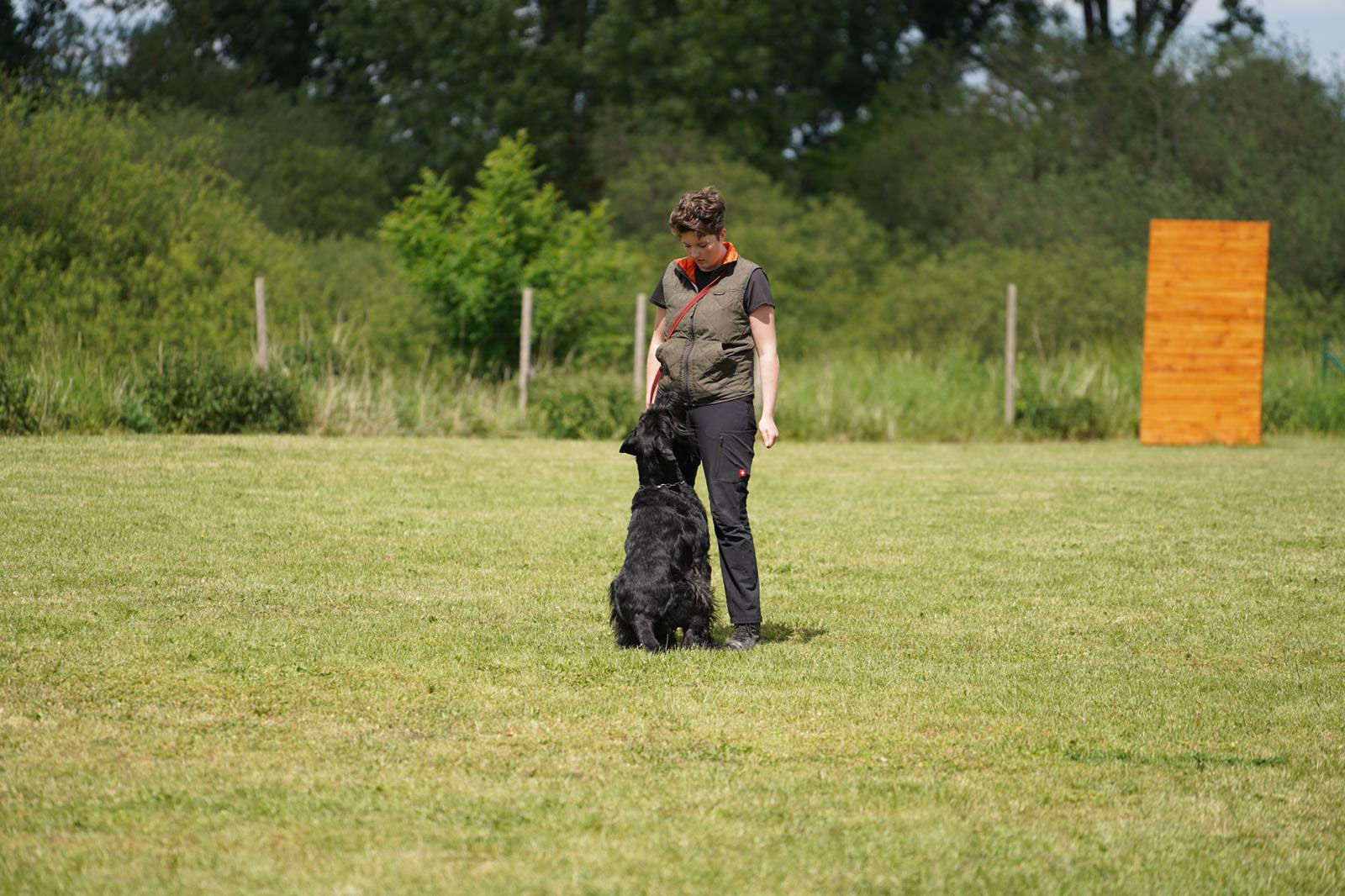 Begleithund Training/IGP Hundeschule TeampartnerHundHoya e.V.