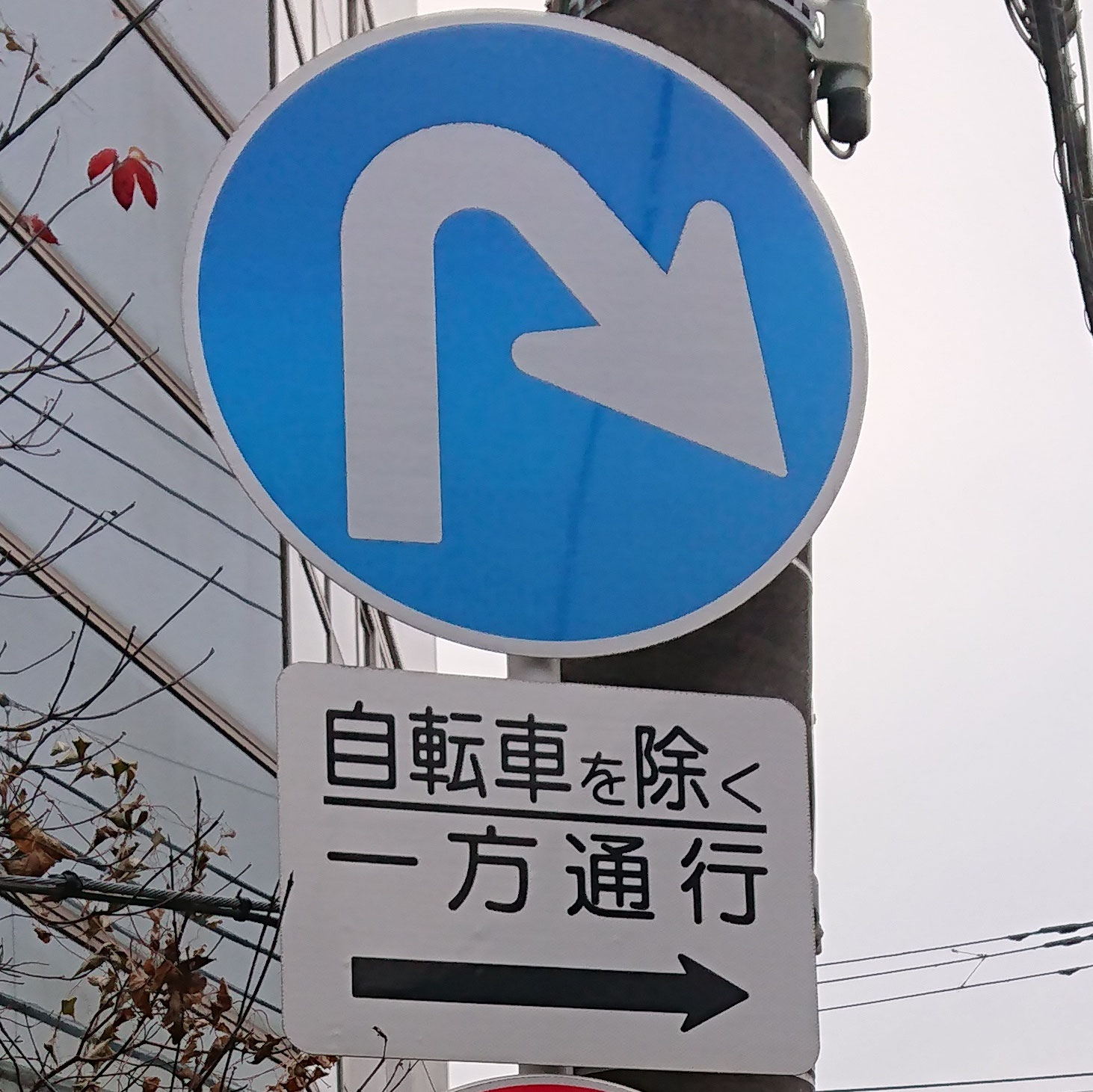 世田谷区の異形矢印標識 - 東京地歴探訪｜東京に限らず全国へ